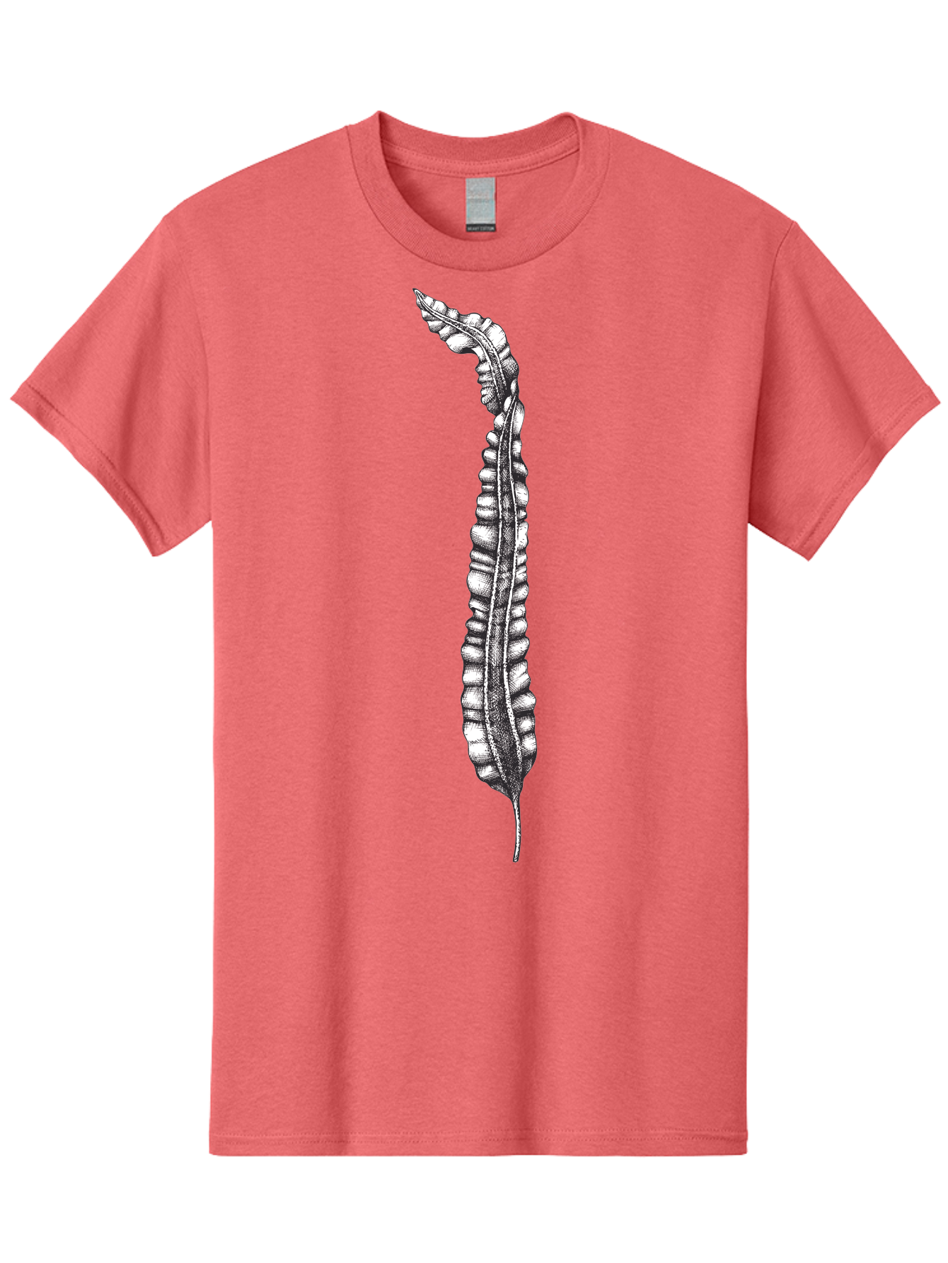 Paleodictyon Men'S Graphic Tee, 100% Cotton, Comfortable Casual Summer Wear, Machine Washable, Black And White Centipede, Detailed Illustration, Many Legs, Invertebrate Animal, Creepy Crawlers, Entomology Art, Detailed Drawing Aad727 27