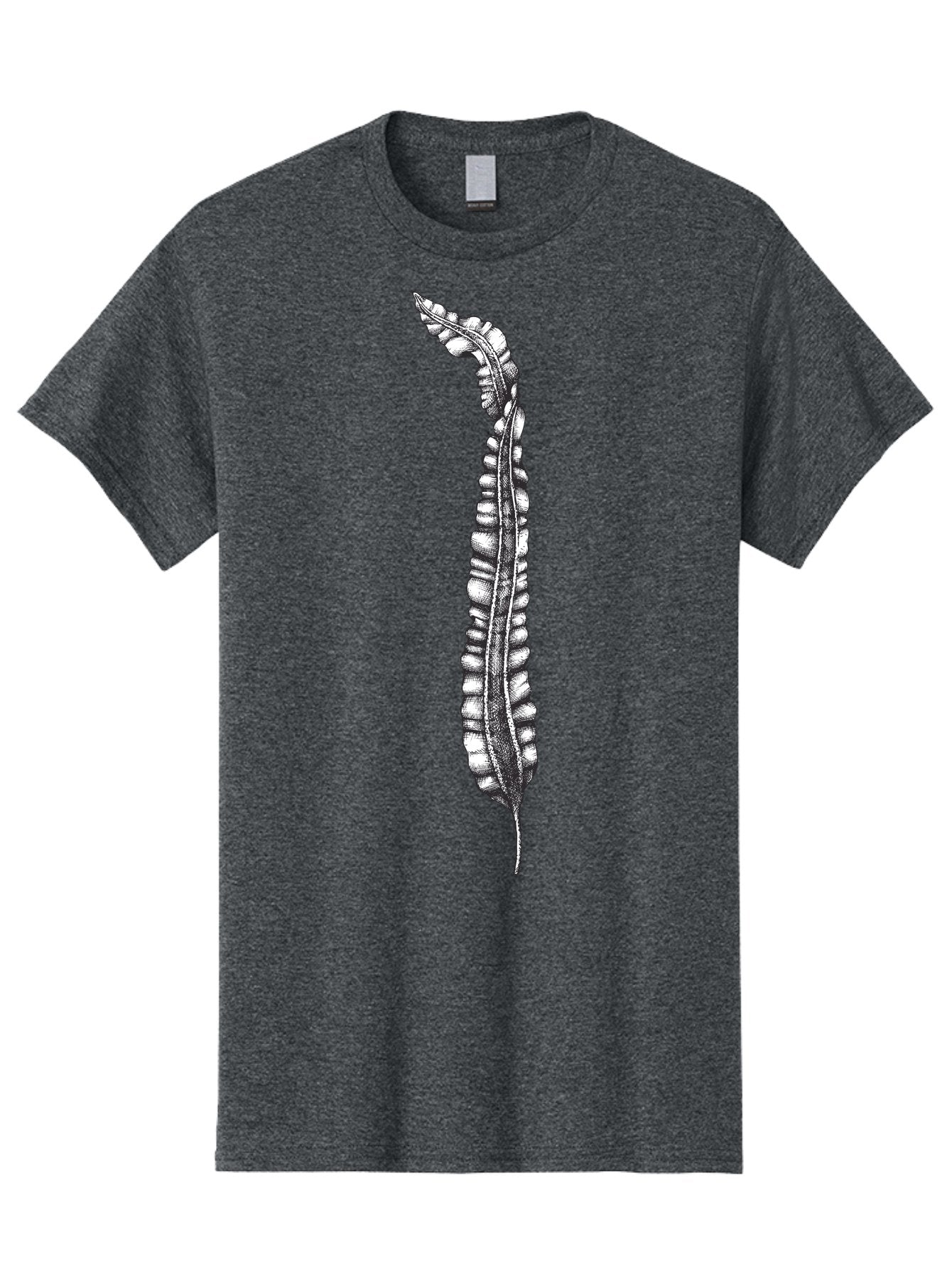 Paleodictyon Men'S Graphic Tee, 100% Cotton, Comfortable Casual Summer Wear, Machine Washable, Black And White Centipede, Detailed Illustration, Many Legs, Invertebrate Animal, Creepy Crawlers, Entomology Art, Detailed Drawing Aad727 13