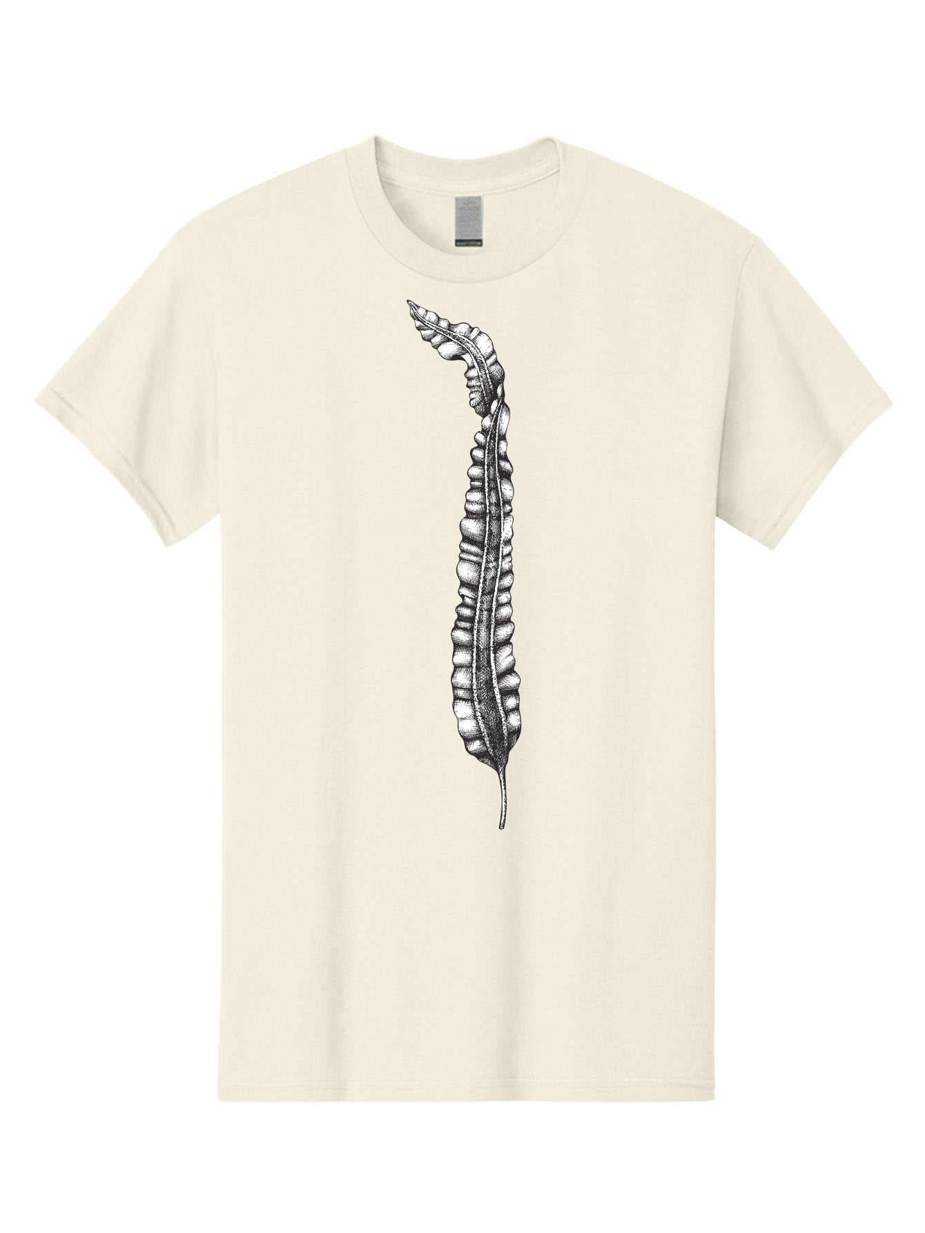 Paleodictyon Men'S Graphic Tee, 100% Cotton, Comfortable Casual Summer Wear, Machine Washable, Black And White Centipede, Detailed Illustration, Many Legs, Invertebrate Animal, Creepy Crawlers, Entomology Art, Detailed Drawing Aad727 3