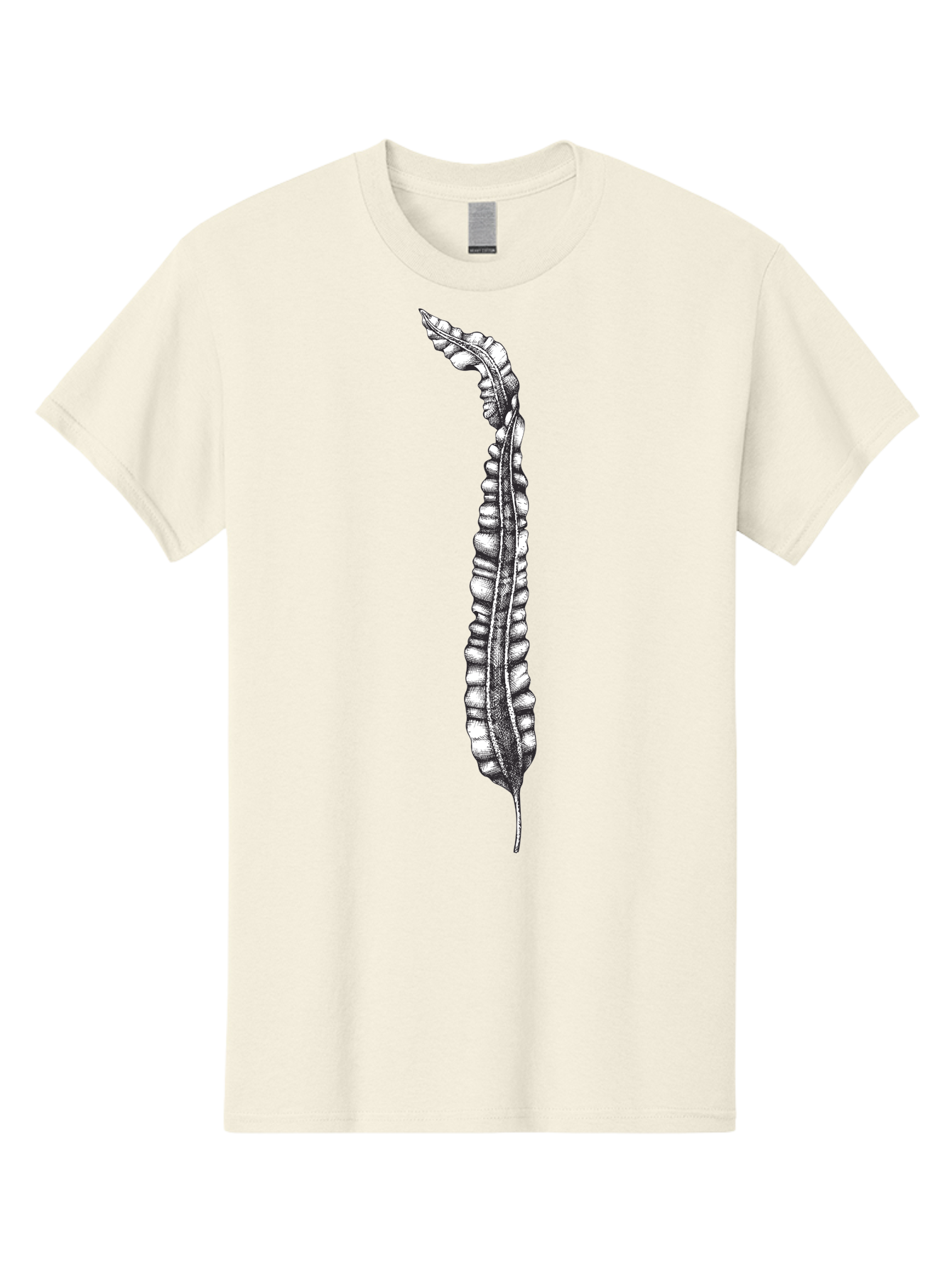 Paleodictyon Men'S Graphic Tee, 100% Cotton, Comfortable Casual Summer Wear, Machine Washable, Black And White Centipede, Detailed Illustration, Many Legs, Invertebrate Animal, Creepy Crawlers, Entomology Art, Detailed Drawing Aad727 17