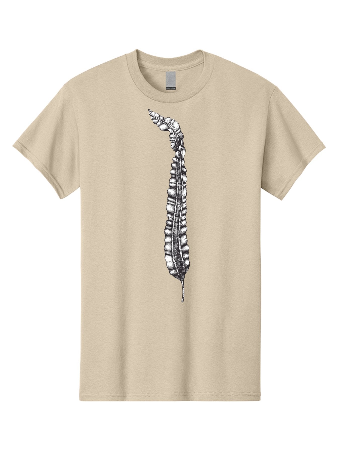 Paleodictyon Men'S Graphic Tee, 100% Cotton, Comfortable Casual Summer Wear, Machine Washable, Black And White Centipede, Detailed Illustration, Many Legs, Invertebrate Animal, Creepy Crawlers, Entomology Art, Detailed Drawing Aad727 8