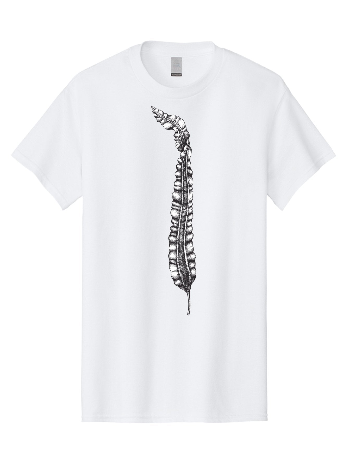 Paleodictyon Men'S Graphic Tee, 100% Cotton, Comfortable Casual Summer Wear, Machine Washable, Black And White Centipede, Detailed Illustration, Many Legs, Invertebrate Animal, Creepy Crawlers, Entomology Art, Detailed Drawing Aad727