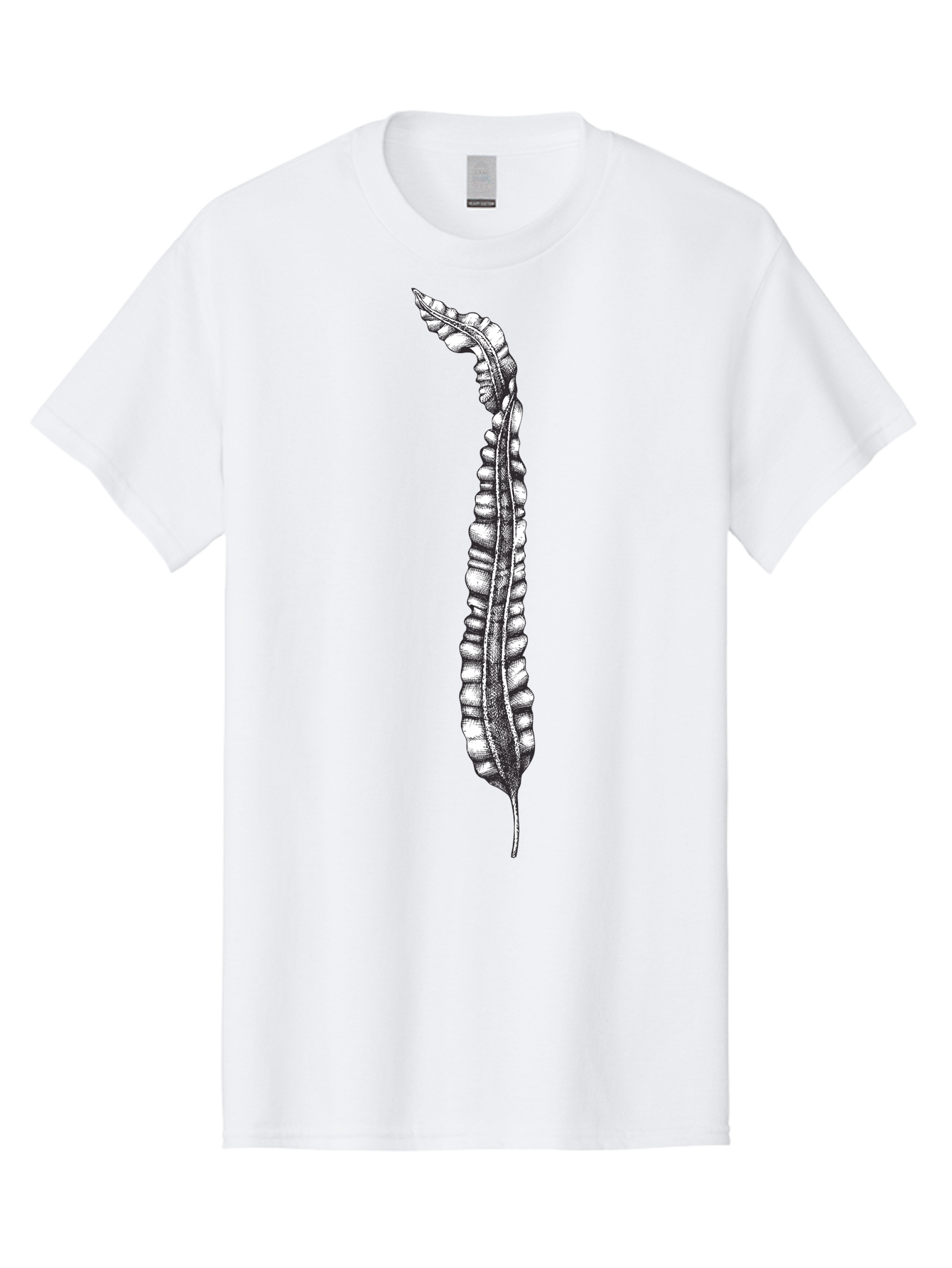 Paleodictyon Men'S Graphic Tee, 100% Cotton, Comfortable Casual Summer Wear, Machine Washable, Black And White Centipede, Detailed Illustration, Many Legs, Invertebrate Animal, Creepy Crawlers, Entomology Art, Detailed Drawing Aad727 19