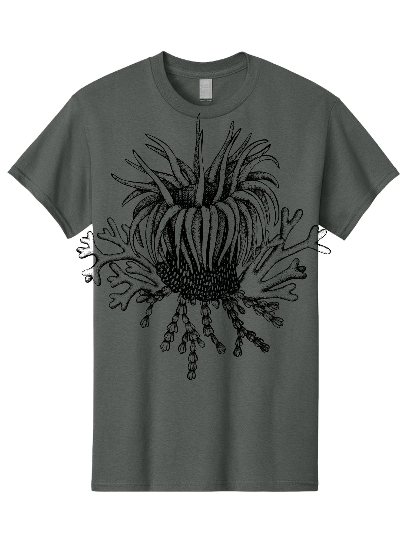 Sea-Anemone Men'S Graphic Tee, 100% Cotton, Comfortable Casual Summer Wear, Machine Washable, Sea Anemone, Marine Life, Ocean Creature, Underwater World, Coral Reef, Aquatic Animal, Tentacles, Black And Green Illustration, Botanical Art, Aad750 8