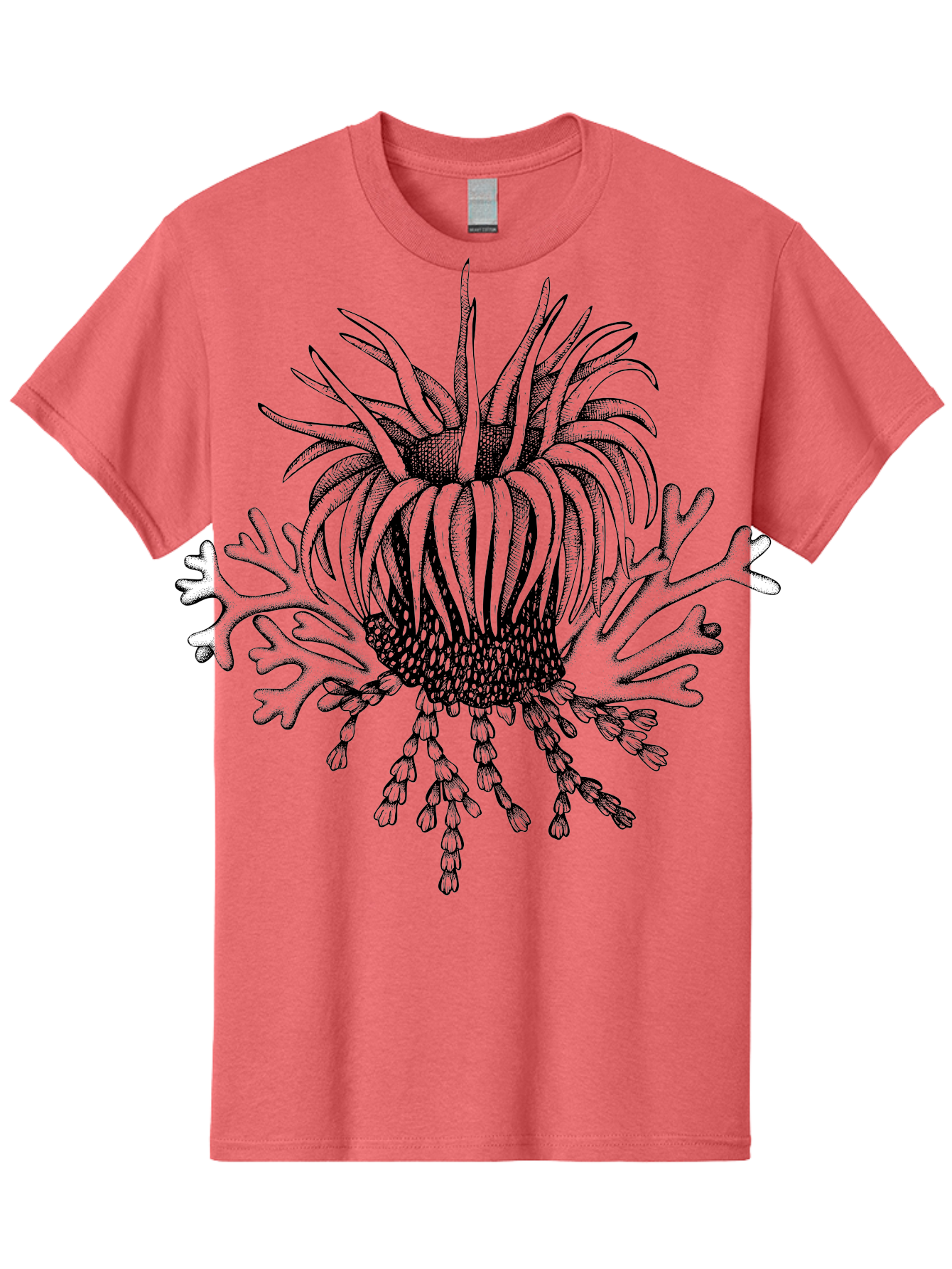 Sea-Anemone Men'S Graphic Tee, 100% Cotton, Comfortable Casual Summer Wear, Machine Washable, Sea Anemone, Marine Life, Ocean Creature, Underwater World, Coral Reef, Aquatic Animal, Tentacles, Black And Green Illustration, Botanical Art, Aad750 29