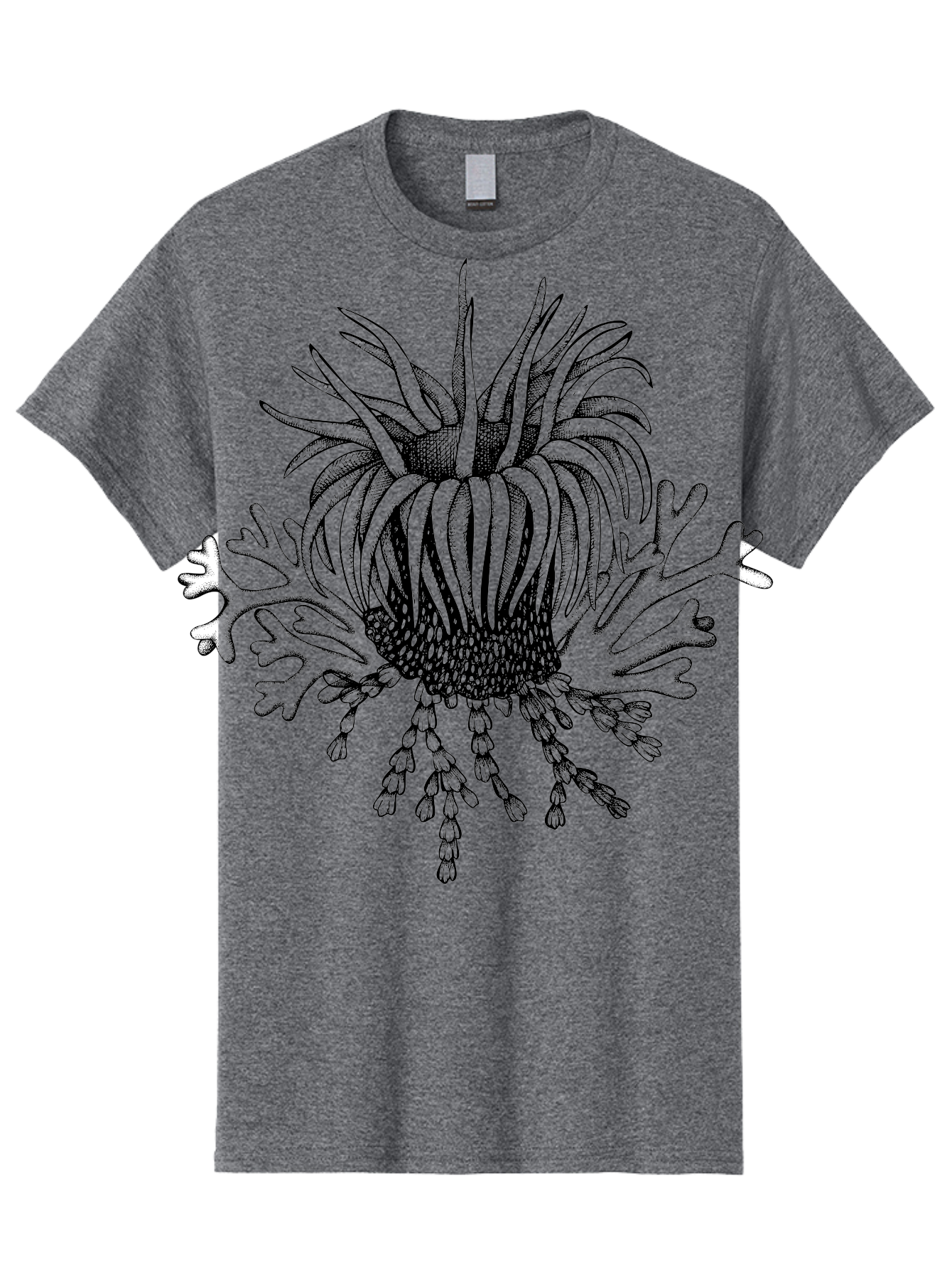 Sea-Anemone Men'S Graphic Tee, 100% Cotton, Comfortable Casual Summer Wear, Machine Washable, Sea Anemone, Marine Life, Ocean Creature, Underwater World, Coral Reef, Aquatic Animal, Tentacles, Black And Green Illustration, Botanical Art, Aad750 19
