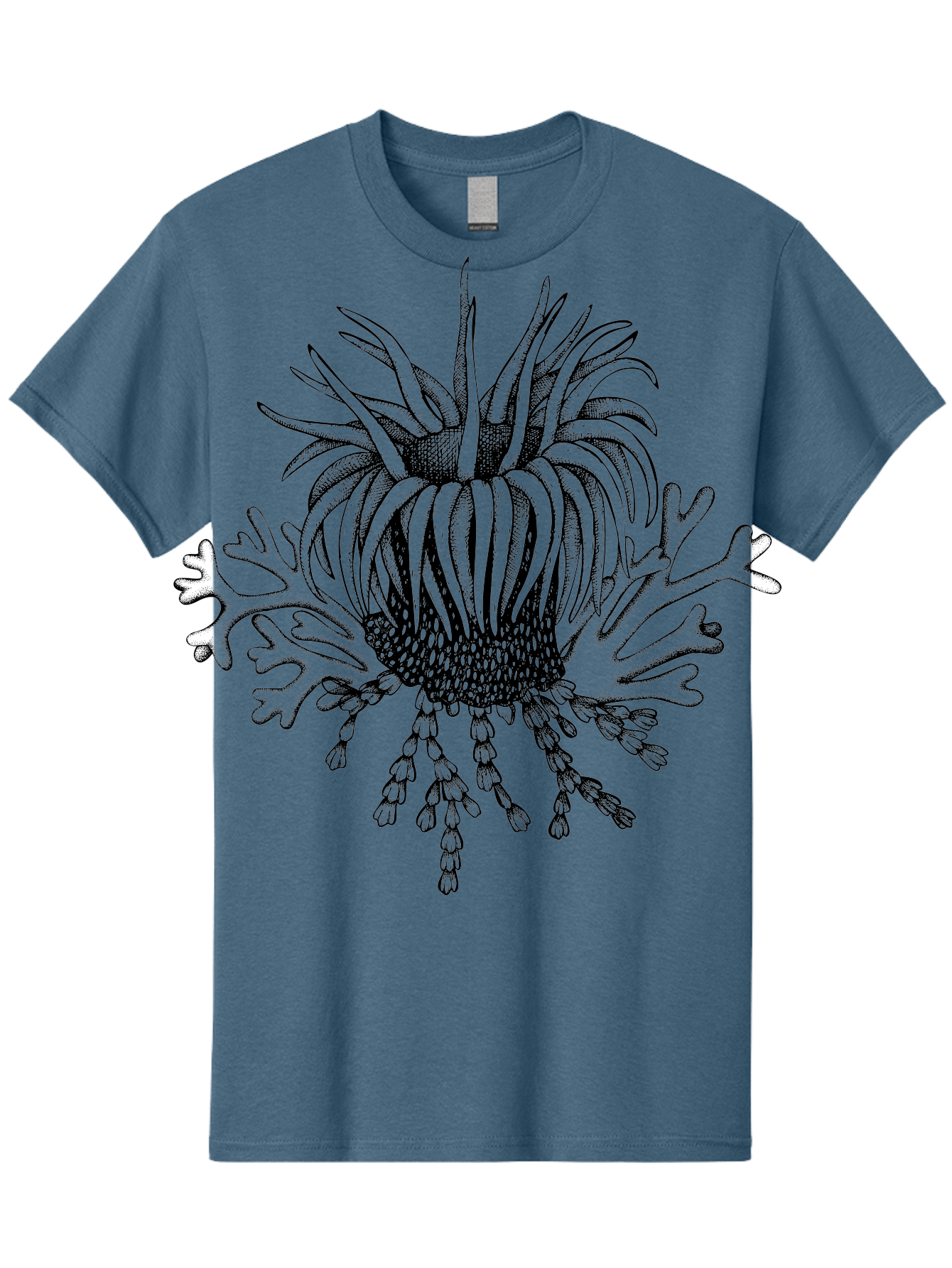Sea-Anemone Men'S Graphic Tee, 100% Cotton, Comfortable Casual Summer Wear, Machine Washable, Sea Anemone, Marine Life, Ocean Creature, Underwater World, Coral Reef, Aquatic Animal, Tentacles, Black And Green Illustration, Botanical Art, Aad750 7