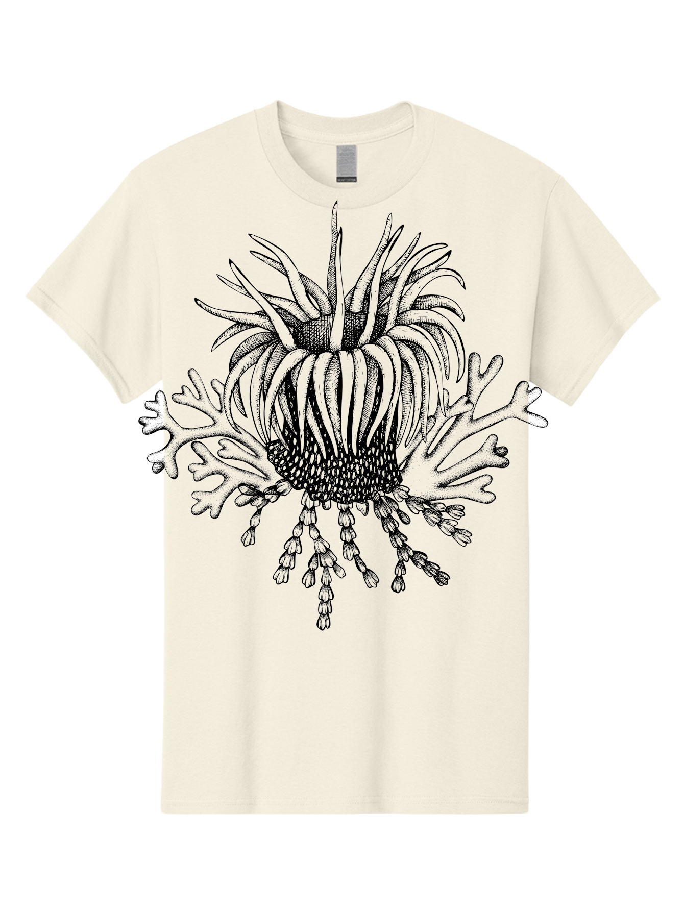 Sea-Anemone Men'S Graphic Tee, 100% Cotton, Comfortable Casual Summer Wear, Machine Washable, Sea Anemone, Marine Life, Ocean Creature, Underwater World, Coral Reef, Aquatic Animal, Tentacles, Black And Green Illustration, Botanical Art, Aad750 27