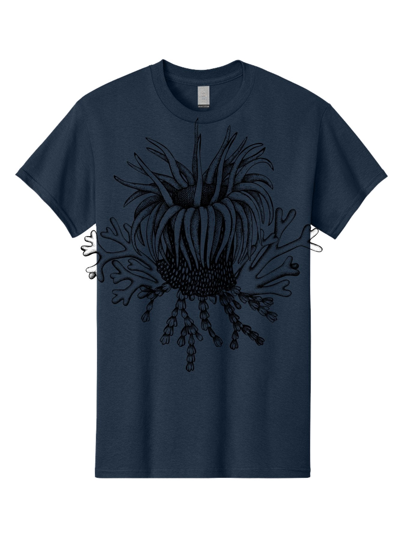 Sea-Anemone Men'S Graphic Tee, 100% Cotton, Comfortable Casual Summer Wear, Machine Washable, Sea Anemone, Marine Life, Ocean Creature, Underwater World, Coral Reef, Aquatic Animal, Tentacles, Black And Green Illustration, Botanical Art, Aad750 7