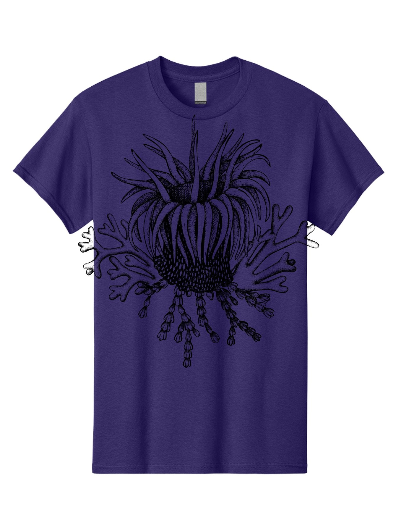 Sea-Anemone Men'S Graphic Tee, 100% Cotton, Comfortable Casual Summer Wear, Machine Washable, Sea Anemone, Marine Life, Ocean Creature, Underwater World, Coral Reef, Aquatic Animal, Tentacles, Black And Green Illustration, Botanical Art, Aad750 4