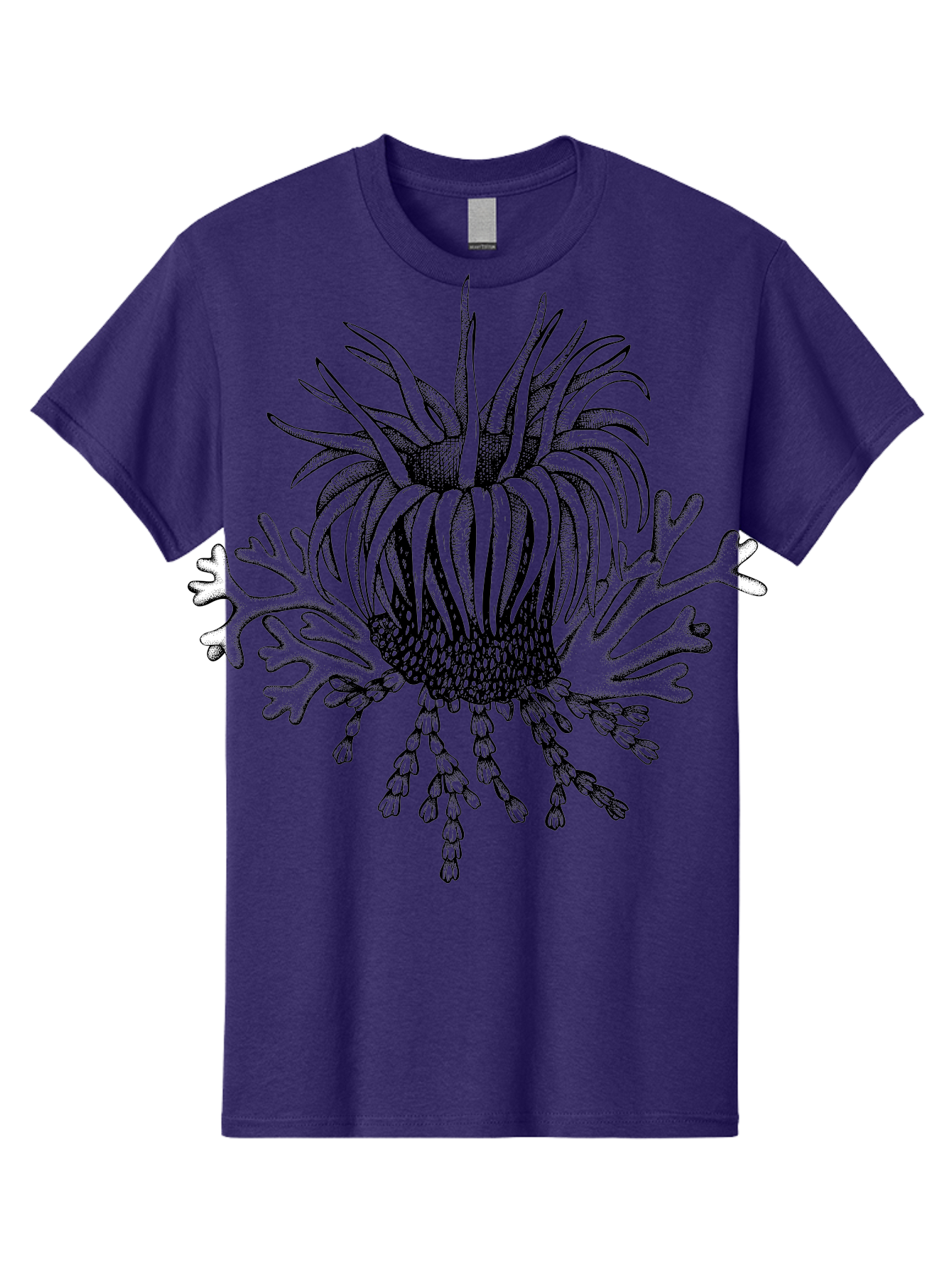 Sea-Anemone Men'S Graphic Tee, 100% Cotton, Comfortable Casual Summer Wear, Machine Washable, Sea Anemone, Marine Life, Ocean Creature, Underwater World, Coral Reef, Aquatic Animal, Tentacles, Black And Green Illustration, Botanical Art, Aad750 23