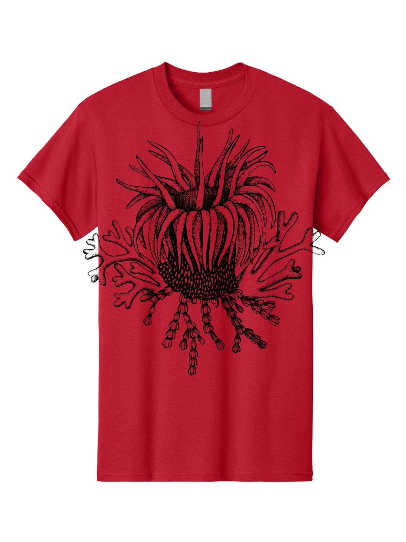 Sea-Anemone Men'S Graphic Tee, 100% Cotton, Comfortable Casual Summer Wear, Machine Washable, Sea Anemone, Marine Life, Ocean Creature, Underwater World, Coral Reef, Aquatic Animal, Tentacles, Black And Green Illustration, Botanical Art, Aad750 9