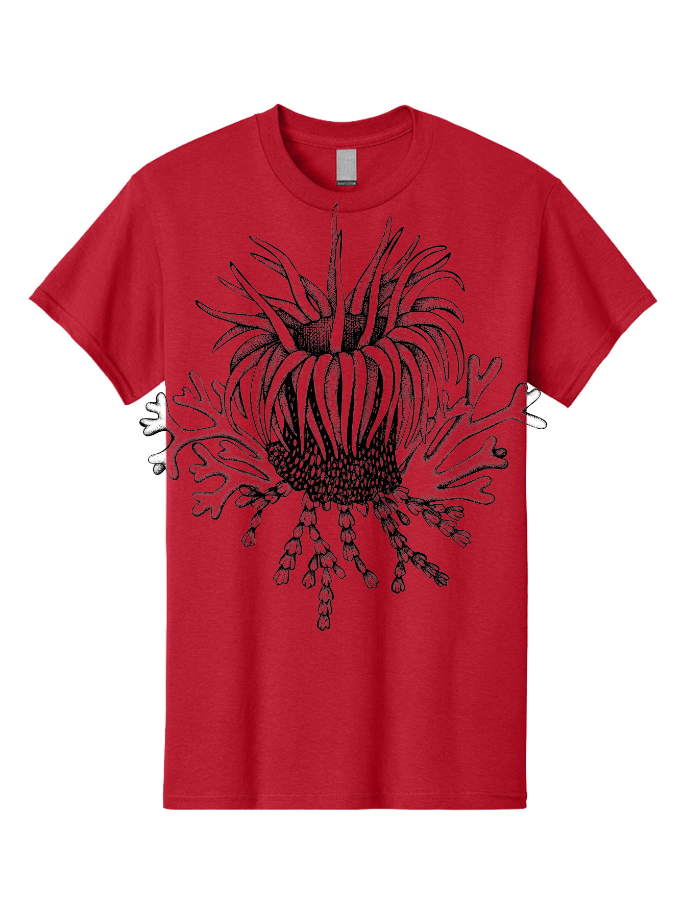 Sea-Anemone Men'S Graphic Tee, 100% Cotton, Comfortable Casual Summer Wear, Machine Washable, Sea Anemone, Marine Life, Ocean Creature, Underwater World, Coral Reef, Aquatic Animal, Tentacles, Black And Green Illustration, Botanical Art, Aad750 9