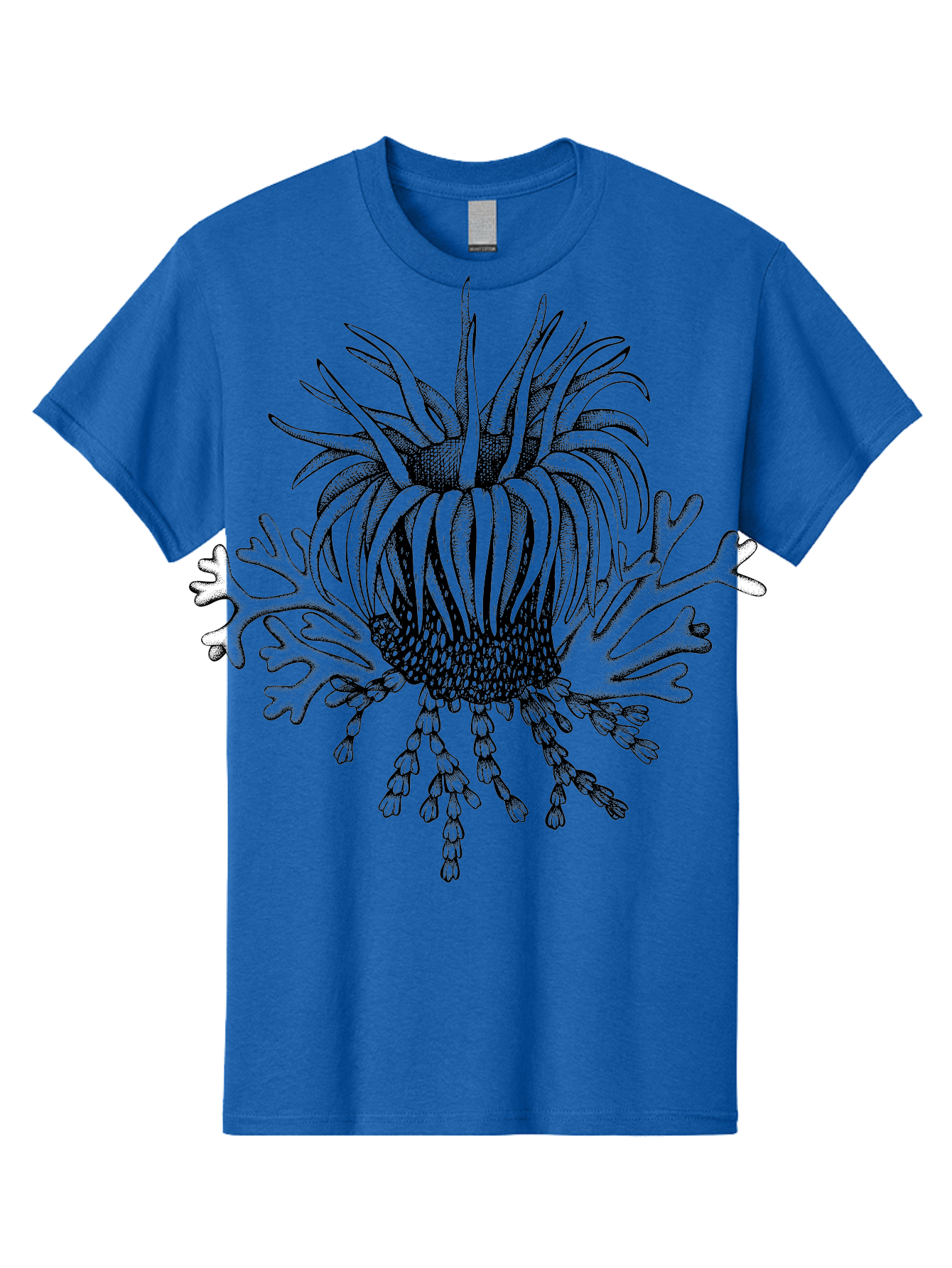 Sea-Anemone Men'S Graphic Tee, 100% Cotton, Comfortable Casual Summer Wear, Machine Washable, Sea Anemone, Marine Life, Ocean Creature, Underwater World, Coral Reef, Aquatic Animal, Tentacles, Black And Green Illustration, Botanical Art, Aad750 3