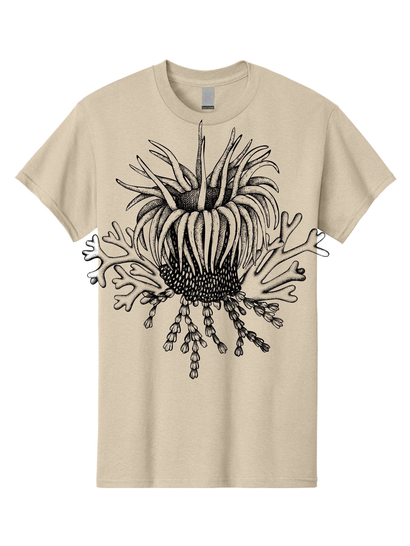 Sea-Anemone Men'S Graphic Tee, 100% Cotton, Comfortable Casual Summer Wear, Machine Washable, Sea Anemone, Marine Life, Ocean Creature, Underwater World, Coral Reef, Aquatic Animal, Tentacles, Black And Green Illustration, Botanical Art, Aad750 12