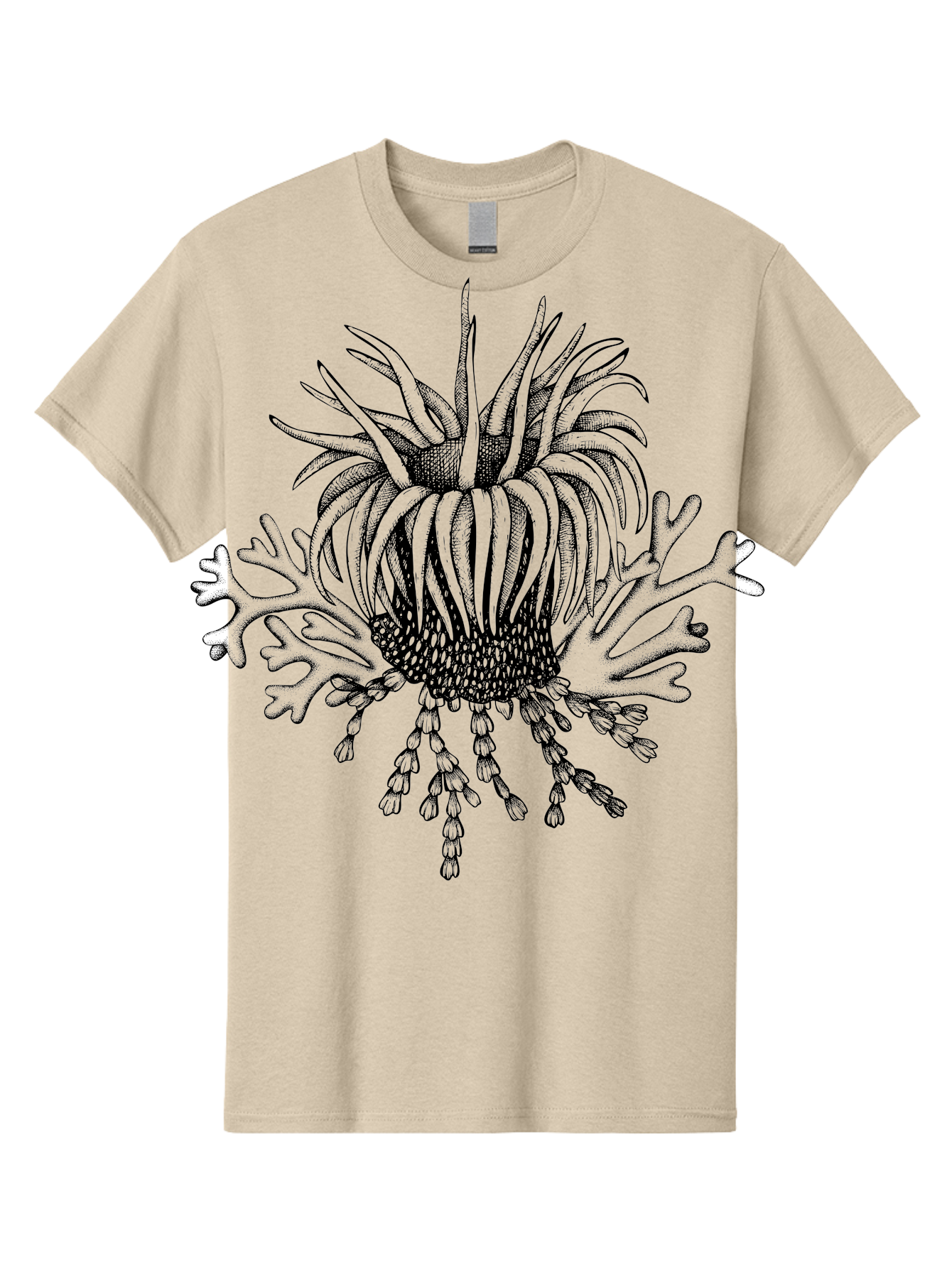 Sea-Anemone Men'S Graphic Tee, 100% Cotton, Comfortable Casual Summer Wear, Machine Washable, Sea Anemone, Marine Life, Ocean Creature, Underwater World, Coral Reef, Aquatic Animal, Tentacles, Black And Green Illustration, Botanical Art, Aad750 5