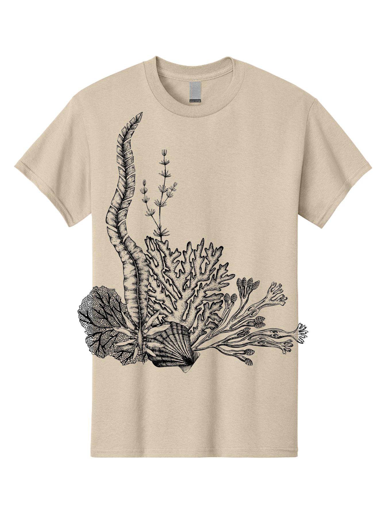 Seaweed-Illustration Men'S Graphic Tee, 100% Cotton, Comfortable Casual Summer Wear, Machine Washable, Detailed Seaweed, Oceanic Foliage, Black Ink Illustration, Floral Seaweed, Underwater Scenery, Marine Life, Botanical Art Aad753 19