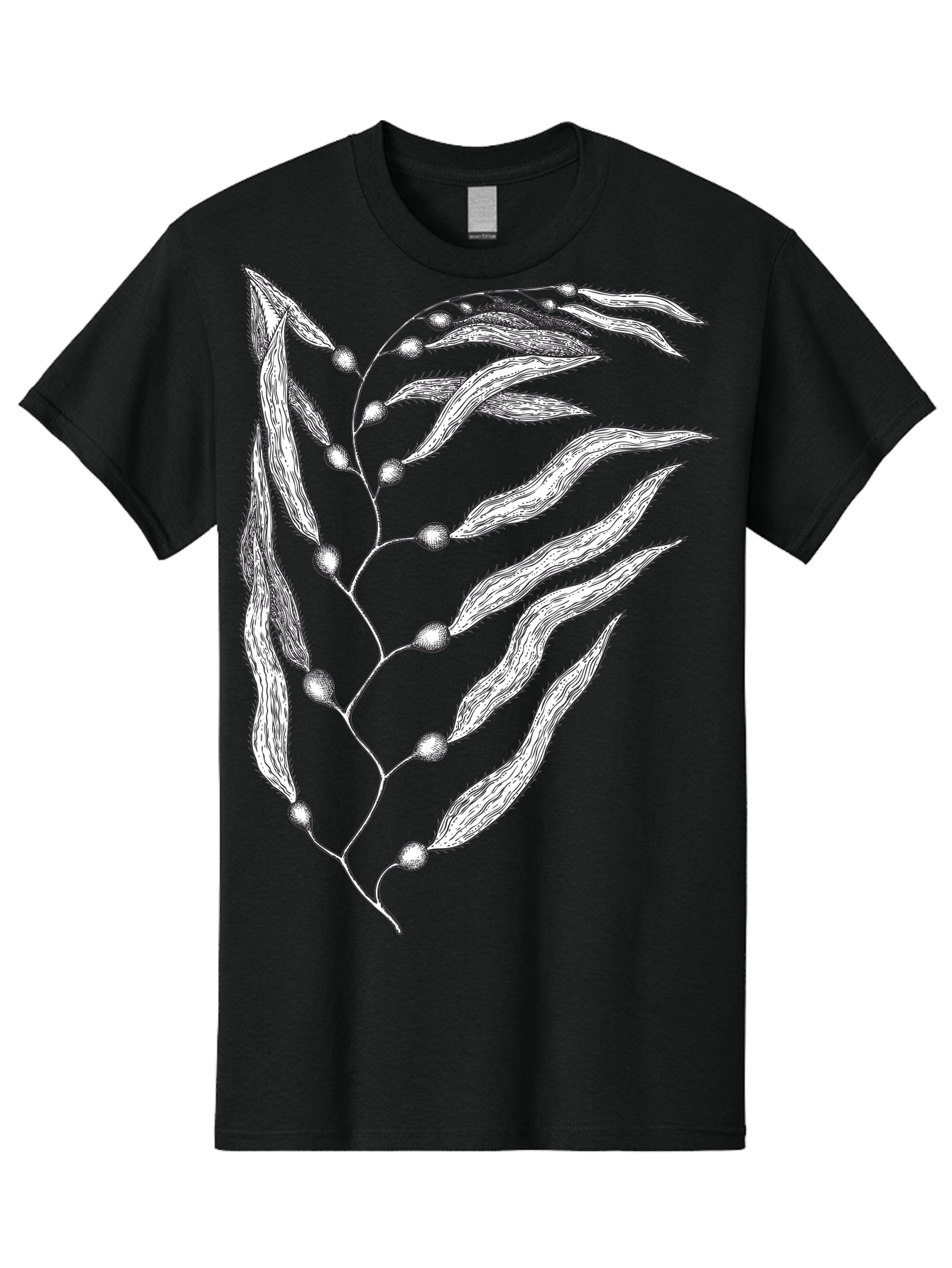 Seaweed Men'S Graphic Tee, 100% Cotton, Comfortable Casual Summer Wear, Machine Washable, Illustrated Branch With Leaves, Branch With Fruit, Foliage Illustration, Silver Leaves, Detailed Artwork, Botanical Illustration, Natural Elements, Aad754 27