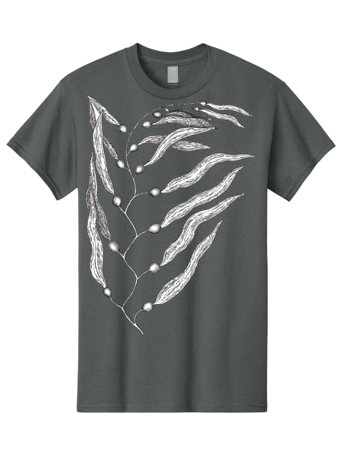 Seaweed Men'S Graphic Tee, 100% Cotton, Comfortable Casual Summer Wear, Machine Washable, Illustrated Branch With Leaves, Branch With Fruit, Foliage Illustration, Silver Leaves, Detailed Artwork, Botanical Illustration, Natural Elements, Aad754