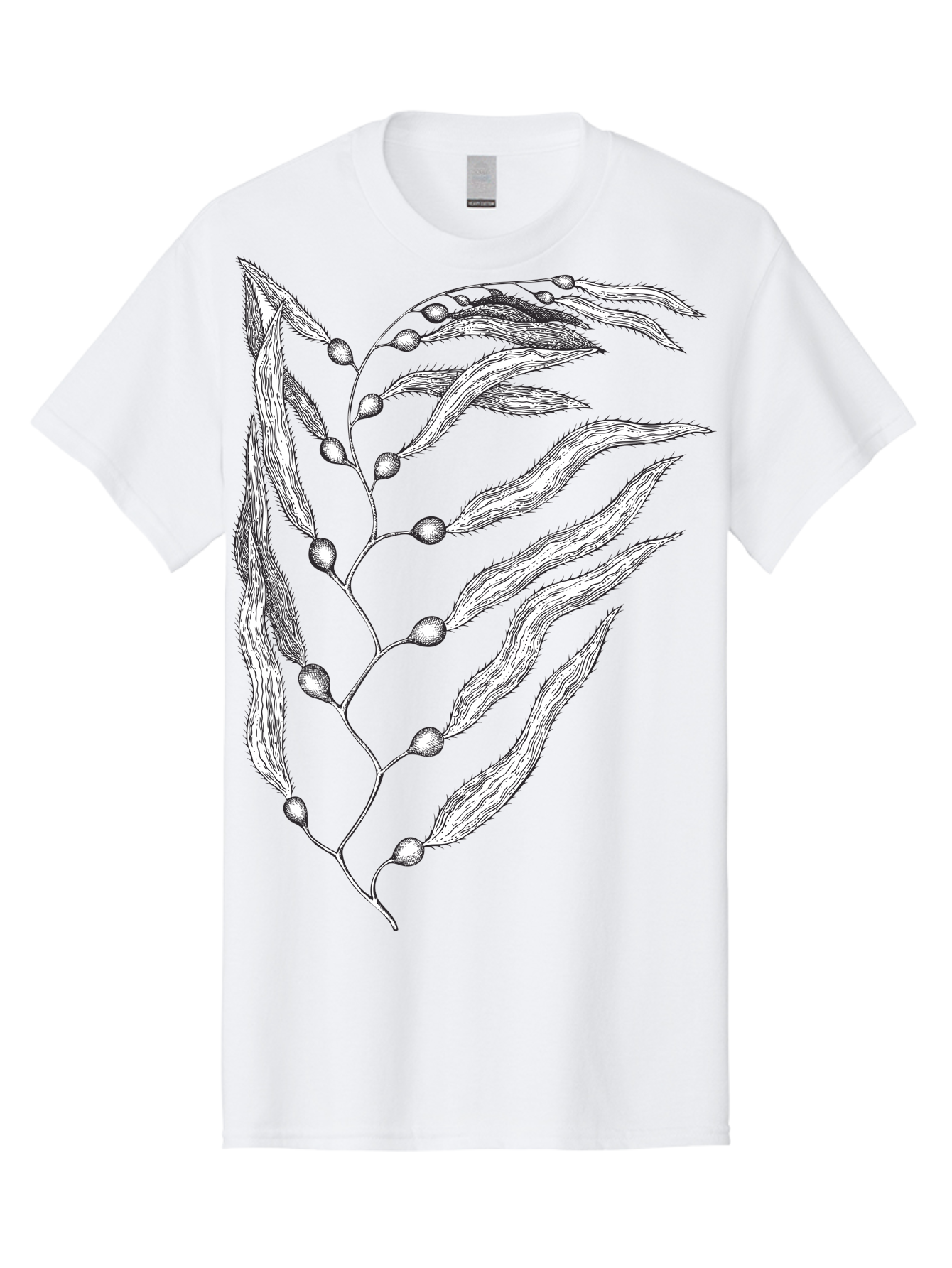 Seaweed Men'S Graphic Tee, 100% Cotton, Comfortable Casual Summer Wear, Machine Washable, Illustrated Branch With Leaves, Branch With Fruit, Foliage Illustration, Silver Leaves, Detailed Artwork, Botanical Illustration, Natural Elements, Aad754 23