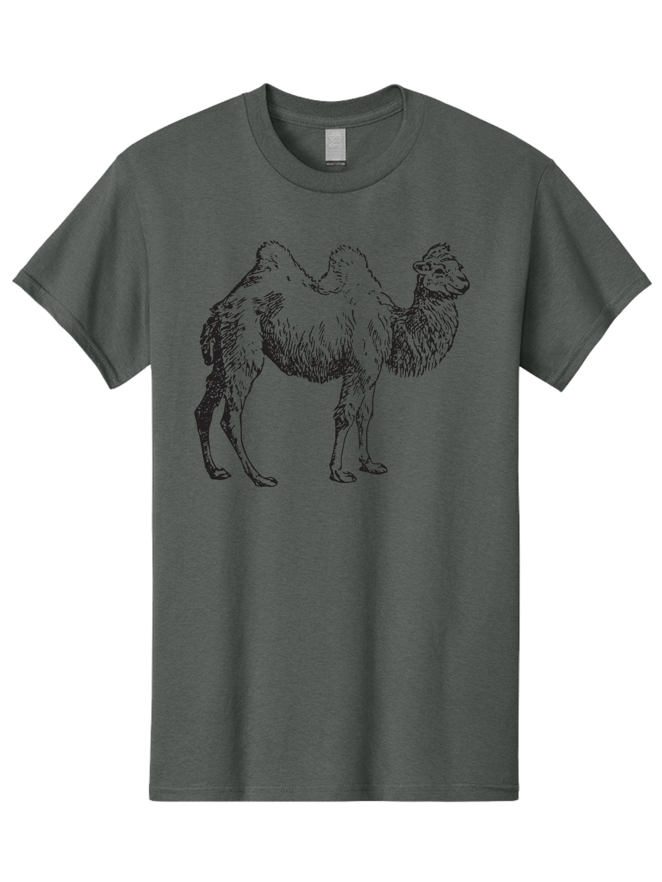 Bactrian-Camel Men'S Graphic Tee, 100% Cotton, Comfortable Casual Summer Wear, Machine Washable, Bactrian Camel, Double Hump Camel, Desert Animal, Exotic Creature, Wild Camel, Camel Illustration, Camel Drawing Aad846 11