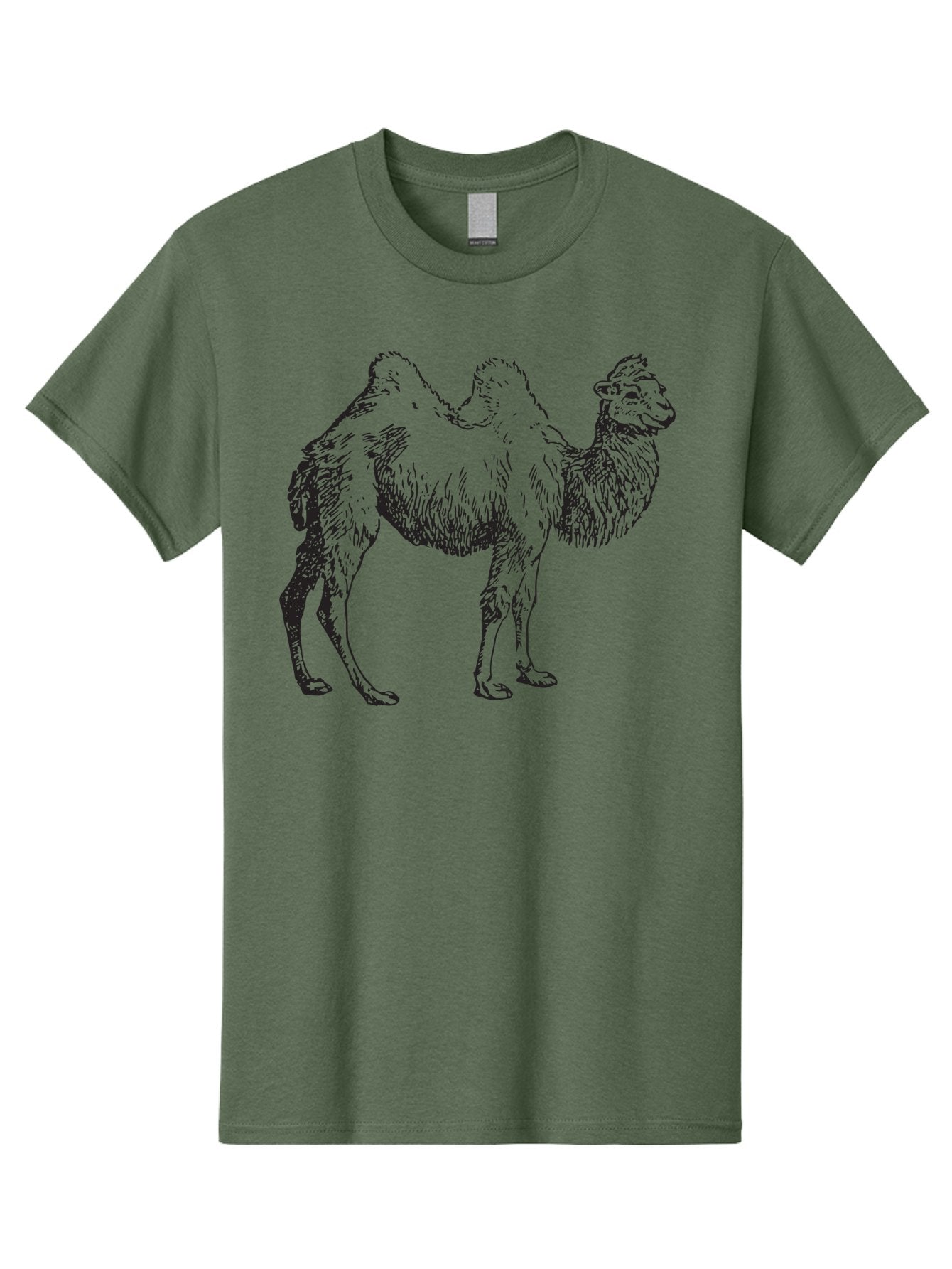 Bactrian-Camel Men'S Graphic Tee, 100% Cotton, Comfortable Casual Summer Wear, Machine Washable, Bactrian Camel, Double Hump Camel, Desert Animal, Exotic Creature, Wild Camel, Camel Illustration, Camel Drawing Aad846 14