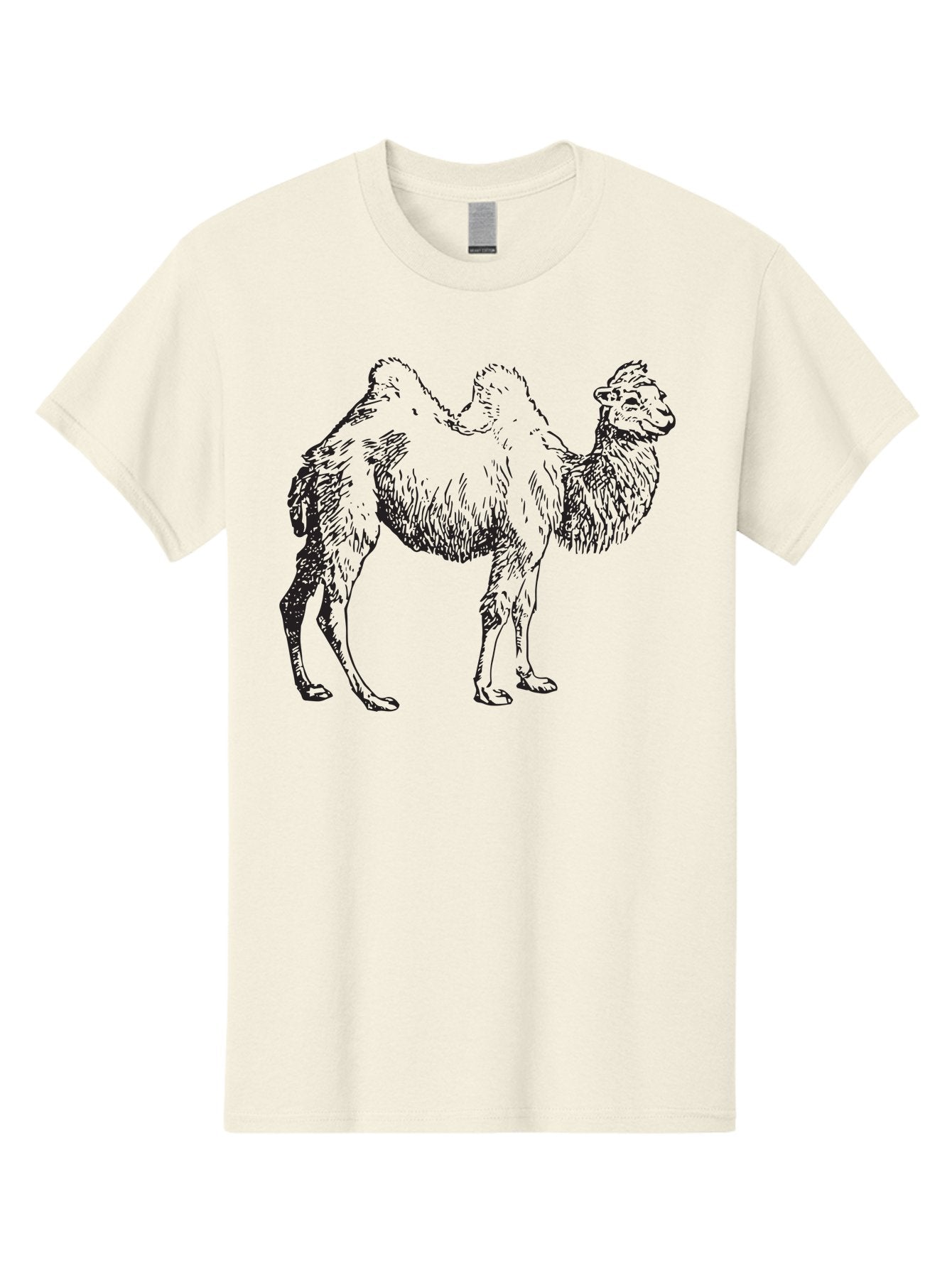 Bactrian-Camel Men'S Graphic Tee, 100% Cotton, Comfortable Casual Summer Wear, Machine Washable, Bactrian Camel, Double Hump Camel, Desert Animal, Exotic Creature, Wild Camel, Camel Illustration, Camel Drawing Aad846 13