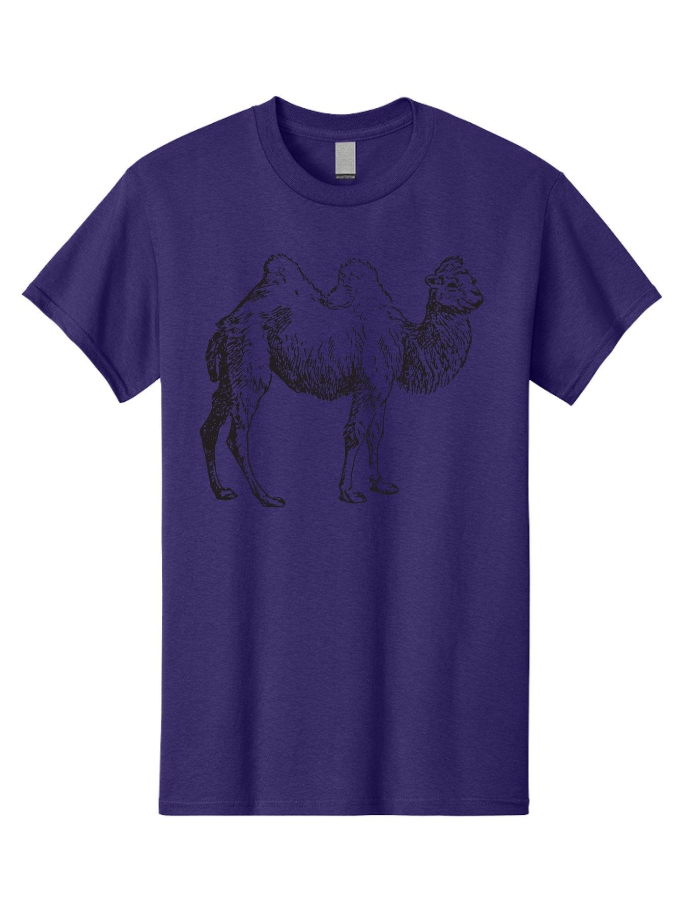 Bactrian-Camel Men'S Graphic Tee, 100% Cotton, Comfortable Casual Summer Wear, Machine Washable, Bactrian Camel, Double Hump Camel, Desert Animal, Exotic Creature, Wild Camel, Camel Illustration, Camel Drawing Aad846 6