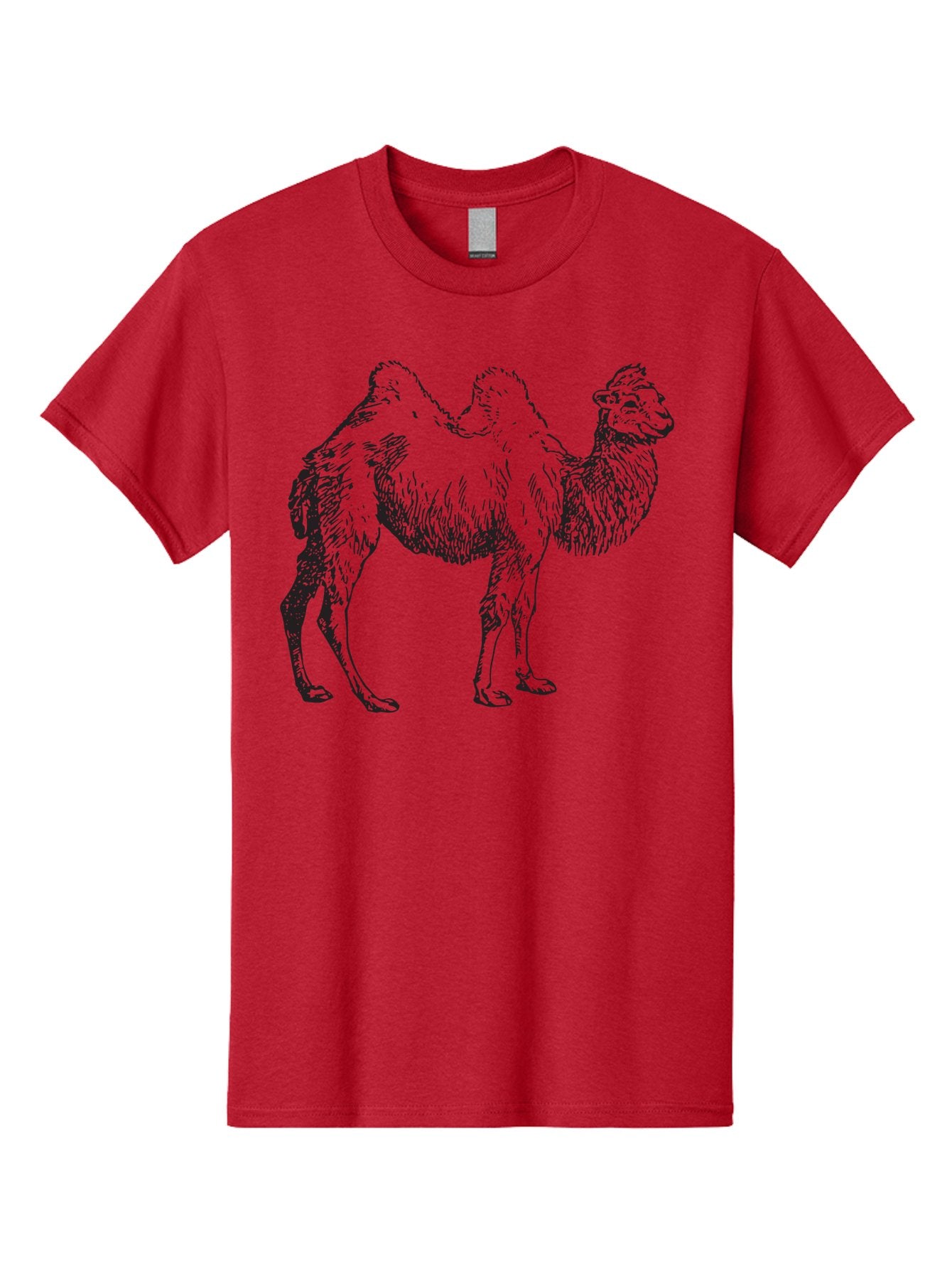 Bactrian-Camel Men'S Graphic Tee, 100% Cotton, Comfortable Casual Summer Wear, Machine Washable, Bactrian Camel, Double Hump Camel, Desert Animal, Exotic Creature, Wild Camel, Camel Illustration, Camel Drawing Aad846