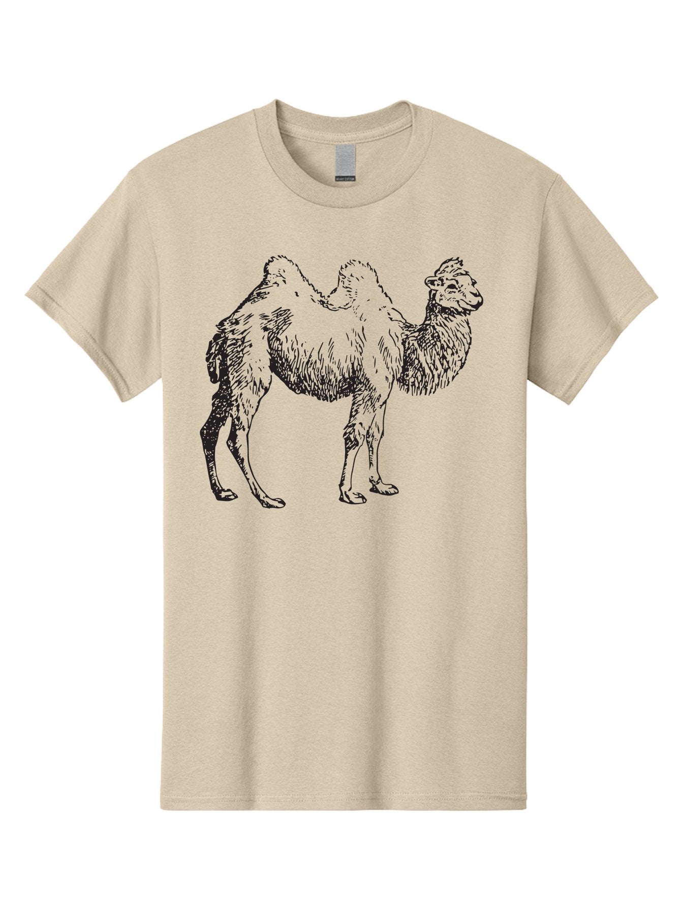 Bactrian-Camel Men'S Graphic Tee, 100% Cotton, Comfortable Casual Summer Wear, Machine Washable, Bactrian Camel, Double Hump Camel, Desert Animal, Exotic Creature, Wild Camel, Camel Illustration, Camel Drawing Aad846