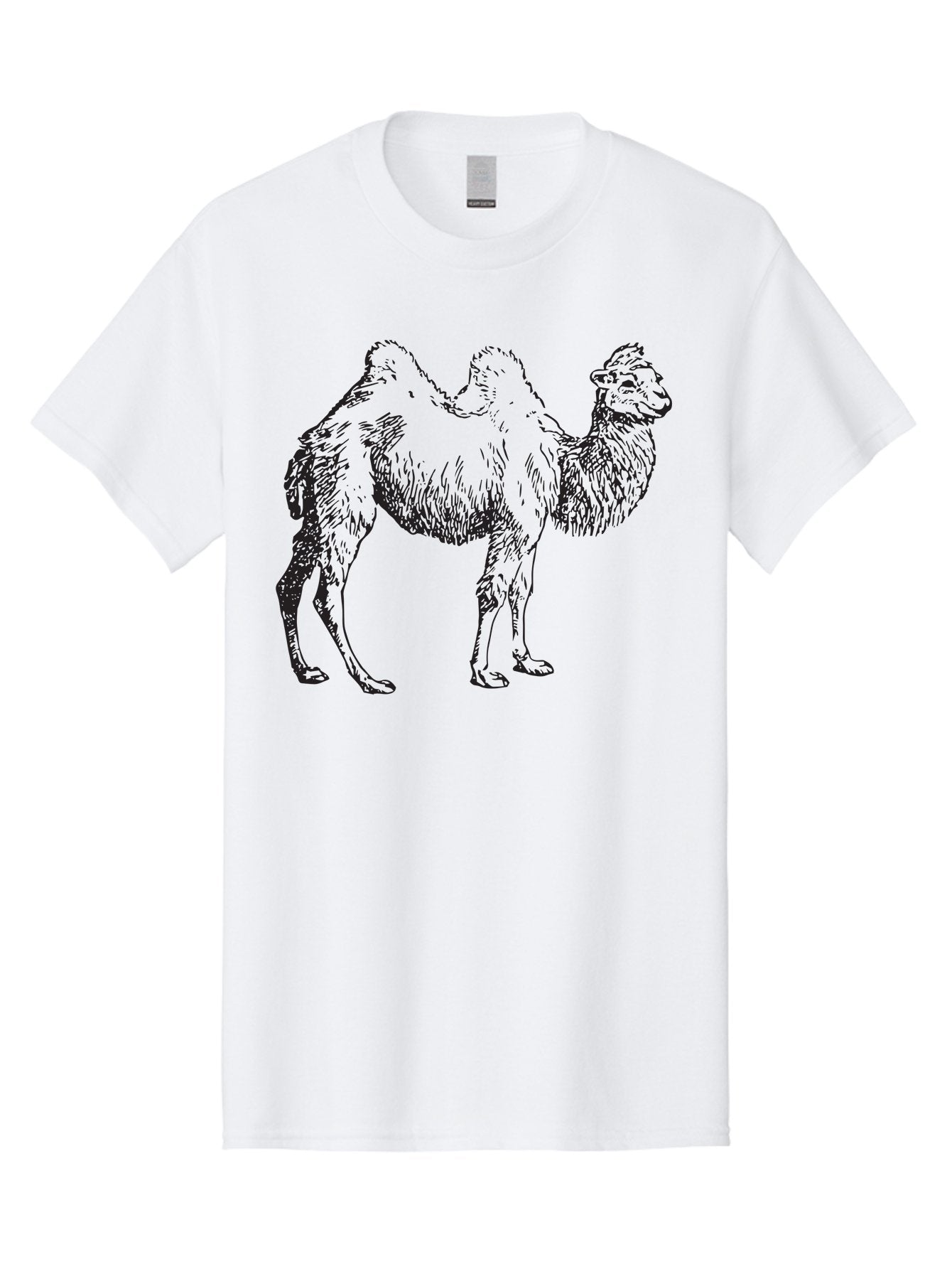 Bactrian-Camel Men'S Graphic Tee, 100% Cotton, Comfortable Casual Summer Wear, Machine Washable, Bactrian Camel, Double Hump Camel, Desert Animal, Exotic Creature, Wild Camel, Camel Illustration, Camel Drawing Aad846 9