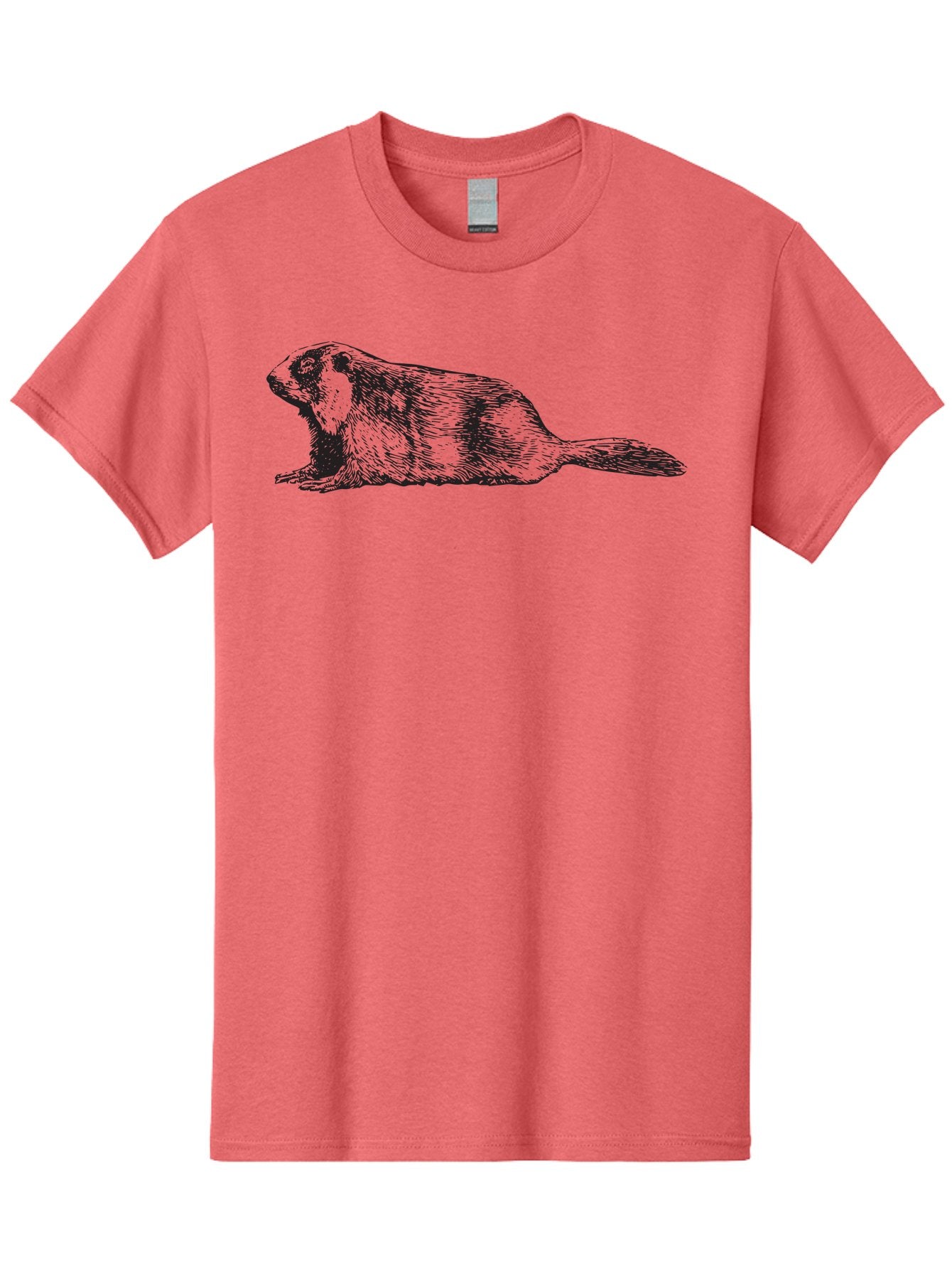Beaver Men'S Graphic Tee, 100% Cotton, Comfortable Casual Summer Wear, Machine Washable, Beaver Illustration, Rodent Artwork, Wildlife Drawing, Black And White Animal, Sketchy Texture, Furry Creature, Aquatic Mammal, Engraving Style, Aad850 10