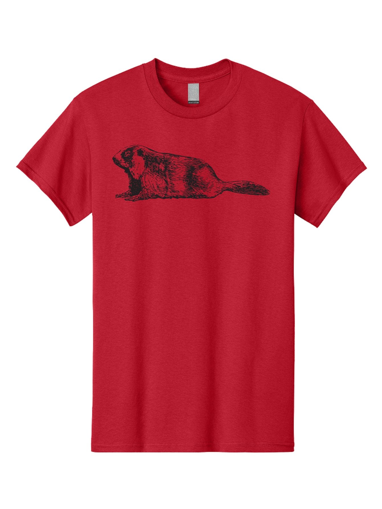 Beaver Men'S Graphic Tee, 100% Cotton, Comfortable Casual Summer Wear, Machine Washable, Beaver Illustration, Rodent Artwork, Wildlife Drawing, Black And White Animal, Sketchy Texture, Furry Creature, Aquatic Mammal, Engraving Style, Aad850 7