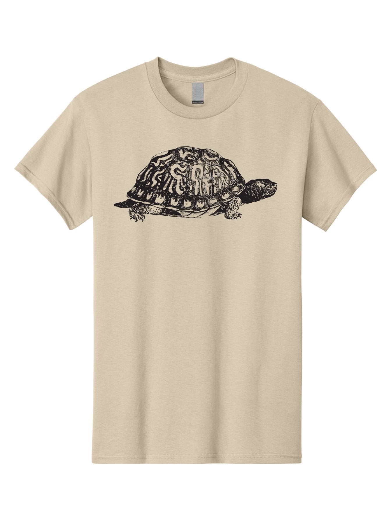 Box-Turtle Men'S Graphic Tee, 100% Cotton, Comfortable Casual Summer Wear, Machine Washable, Turtle Illustration, Reptile Art, Shell Pattern, Wildlife Graphic, Slow-Moving Creature, Nature-Inspired Design, Abstract Animal Art, Detailed Texture Aad858