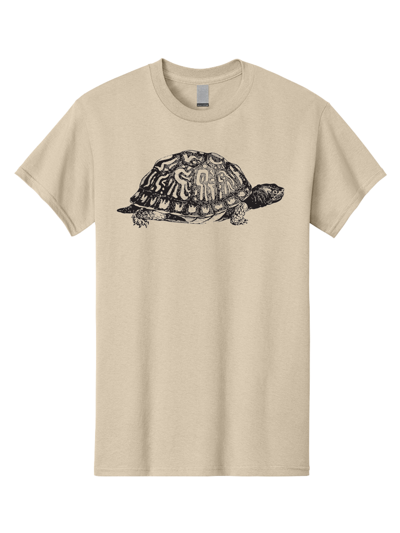 Box-Turtle Men'S Graphic Tee, 100% Cotton, Comfortable Casual Summer Wear, Machine Washable, Turtle Illustration, Reptile Art, Shell Pattern, Wildlife Graphic, Slow-Moving Creature, Nature-Inspired Design, Abstract Animal Art, Detailed Texture Aad858 21