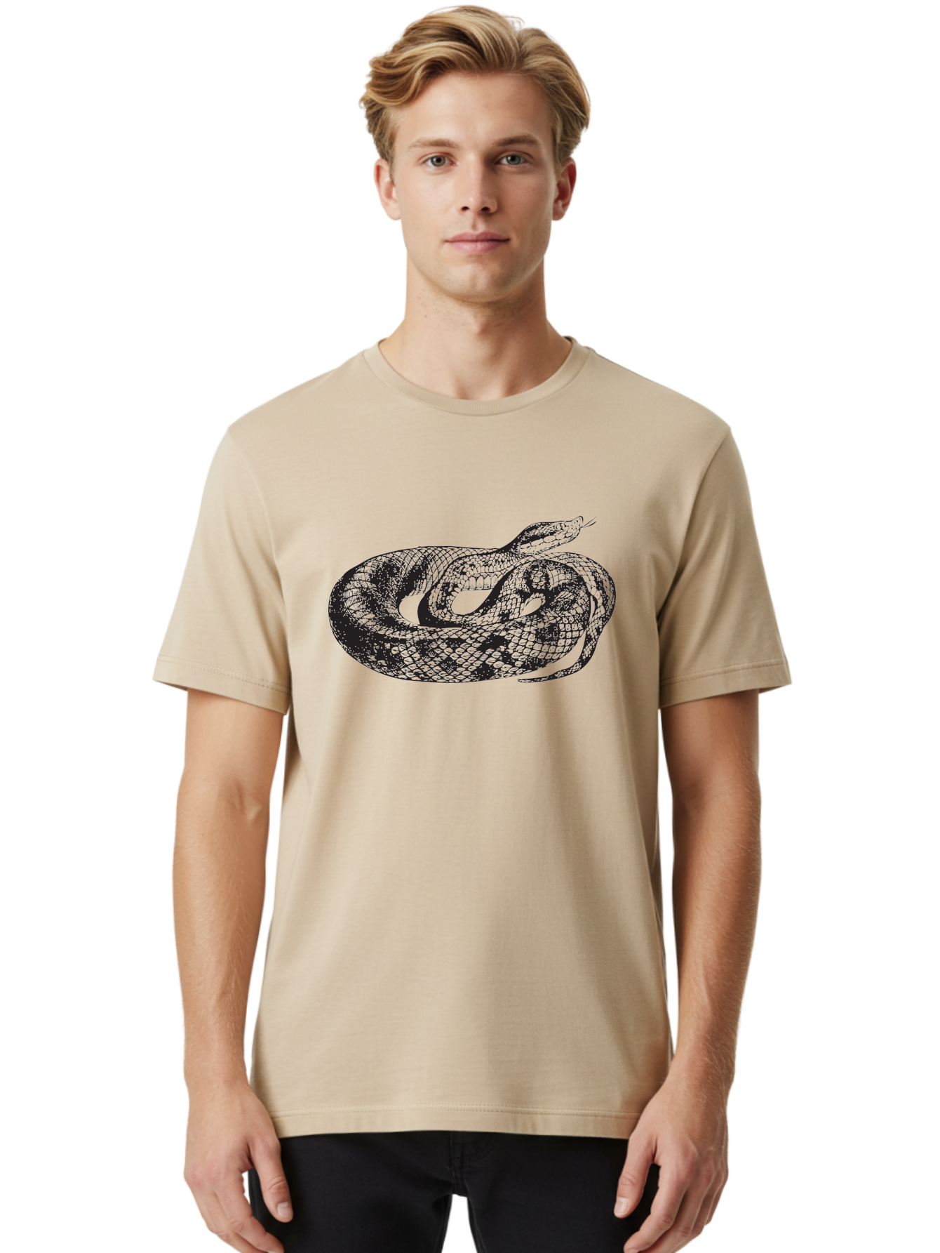 Coiled-Snake-1 Men'S Graphic Tee, 100% Cotton, Comfortable Casual Summer Wear, Machine Washable, Snake Illustration, Coiled Snake, Reptile Art, Wildlife Design, Snake Head, Forked Tongue, Detailed Scales, Black And Green Aad868 6