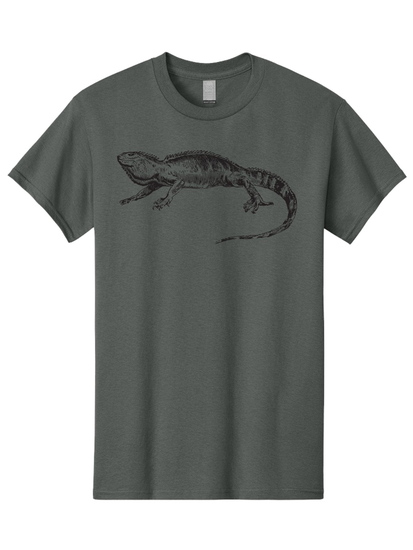 Iguana Men'S Graphic Tee, 100% Cotton, Comfortable Casual Summer Wear, Machine Washable, Lizard, Reptile, Wildlife, Animal Illustration, Detailed Drawing, Scaled Creature, Tail, Claws, Vintage Art Aad900
