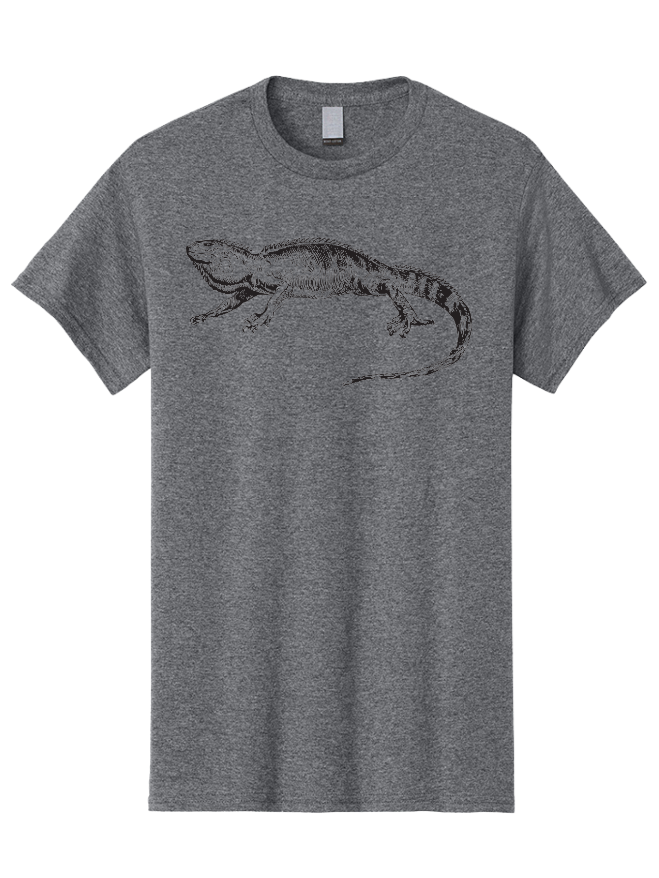 Iguana Men'S Graphic Tee, 100% Cotton, Comfortable Casual Summer Wear, Machine Washable, Lizard, Reptile, Wildlife, Animal Illustration, Detailed Drawing, Scaled Creature, Tail, Claws, Vintage Art Aad900
