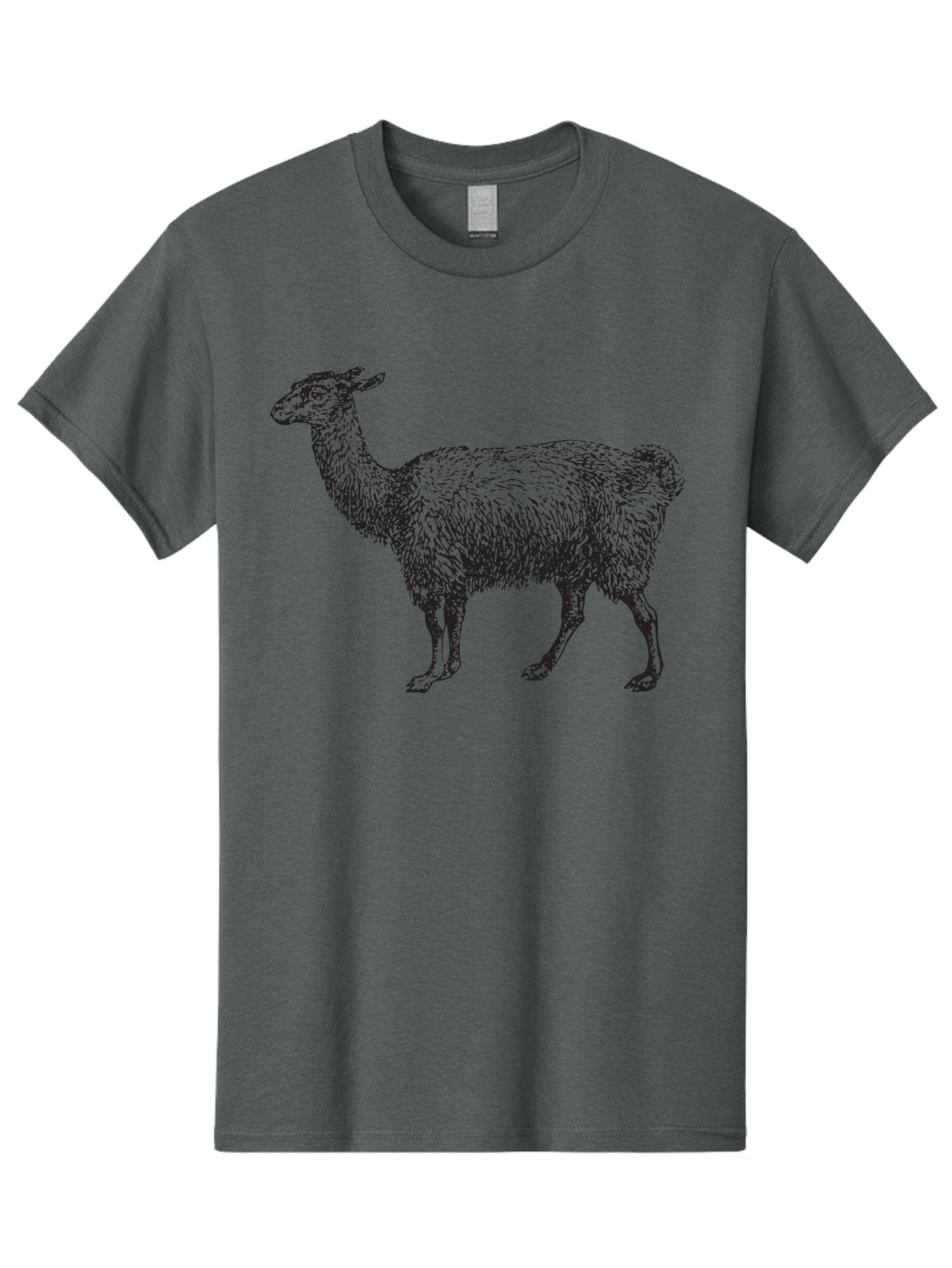 Llama Men'S Graphic Tee, 100% Cotton, Comfortable Casual Summer Wear, Machine Washable, Llama Illustration, Furry Animal, Woolly Texture, Standing Llama, Black And Green Graphic, Animal Art, Simple Design Aad912 5
