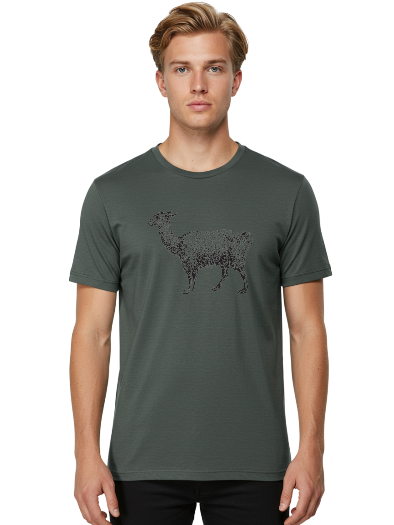 Llama Men'S Graphic Tee, 100% Cotton, Comfortable Casual Summer Wear, Machine Washable, Llama Illustration, Furry Animal, Woolly Texture, Standing Llama, Black And Green Graphic, Animal Art, Simple Design Aad912 16