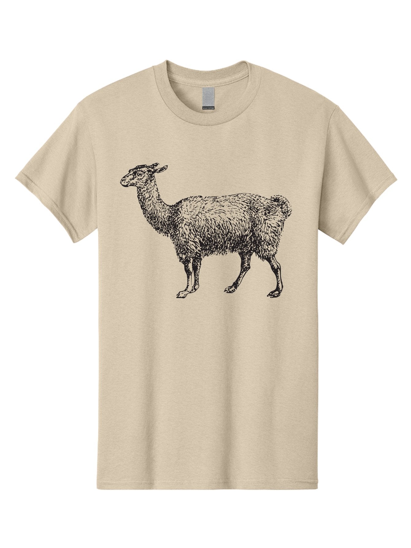 Llama Men'S Graphic Tee, 100% Cotton, Comfortable Casual Summer Wear, Machine Washable, Llama Illustration, Furry Animal, Woolly Texture, Standing Llama, Black And Green Graphic, Animal Art, Simple Design Aad912 12