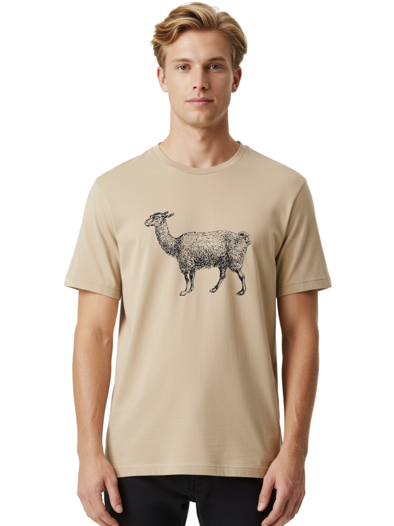 Llama Men'S Graphic Tee, 100% Cotton, Comfortable Casual Summer Wear, Machine Washable, Llama Illustration, Furry Animal, Woolly Texture, Standing Llama, Black And Green Graphic, Animal Art, Simple Design Aad912 6