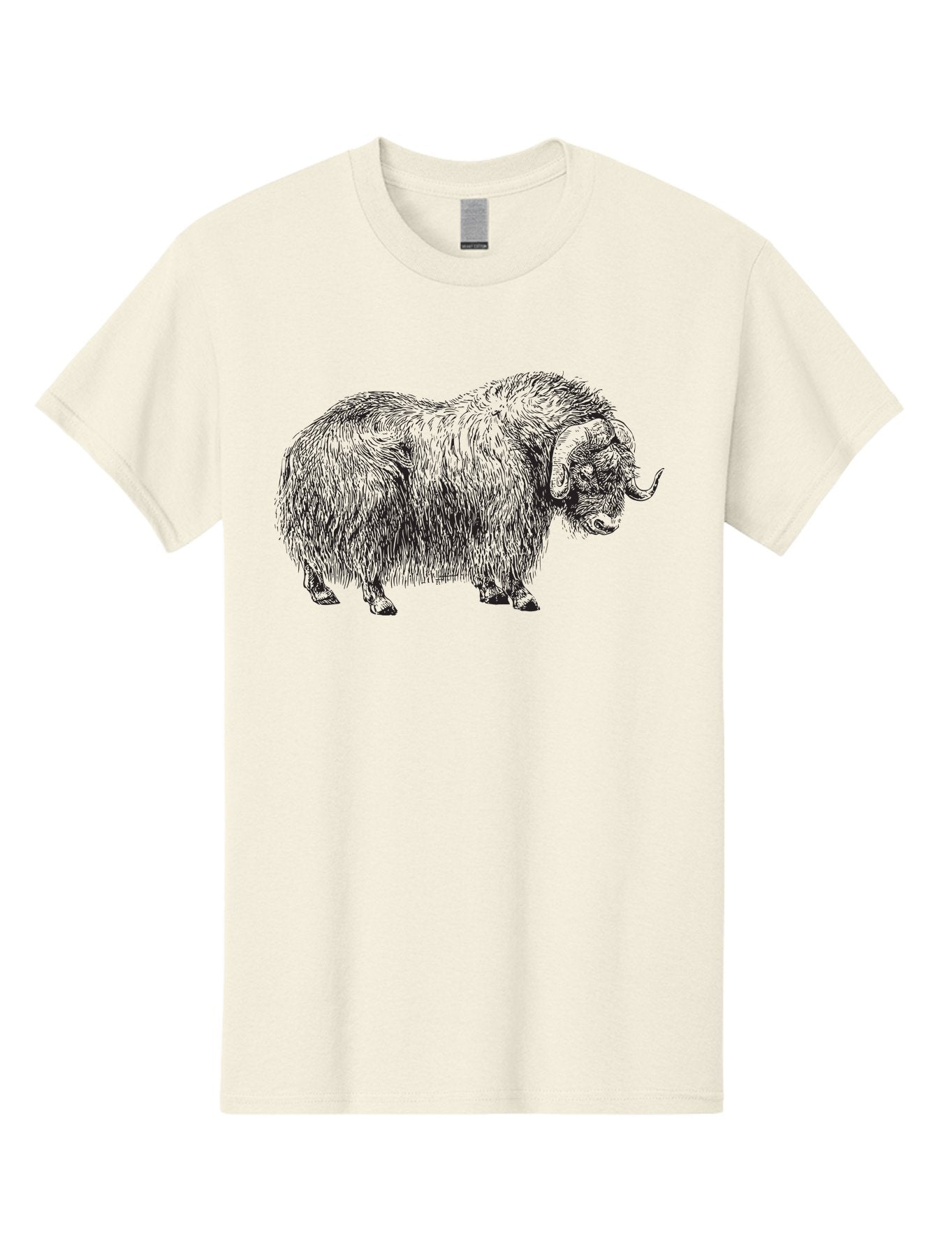 Musk-Ox Men'S Graphic Tee, 100% Cotton, Comfortable Casual Summer Wear, Machine Washable, Muskox Illustration, Detailed Line Art, Wild Animal Portrait, Shaggy Fur, Horned Creature, Arctic Wildlife, Nature Sketch Aad919 3
