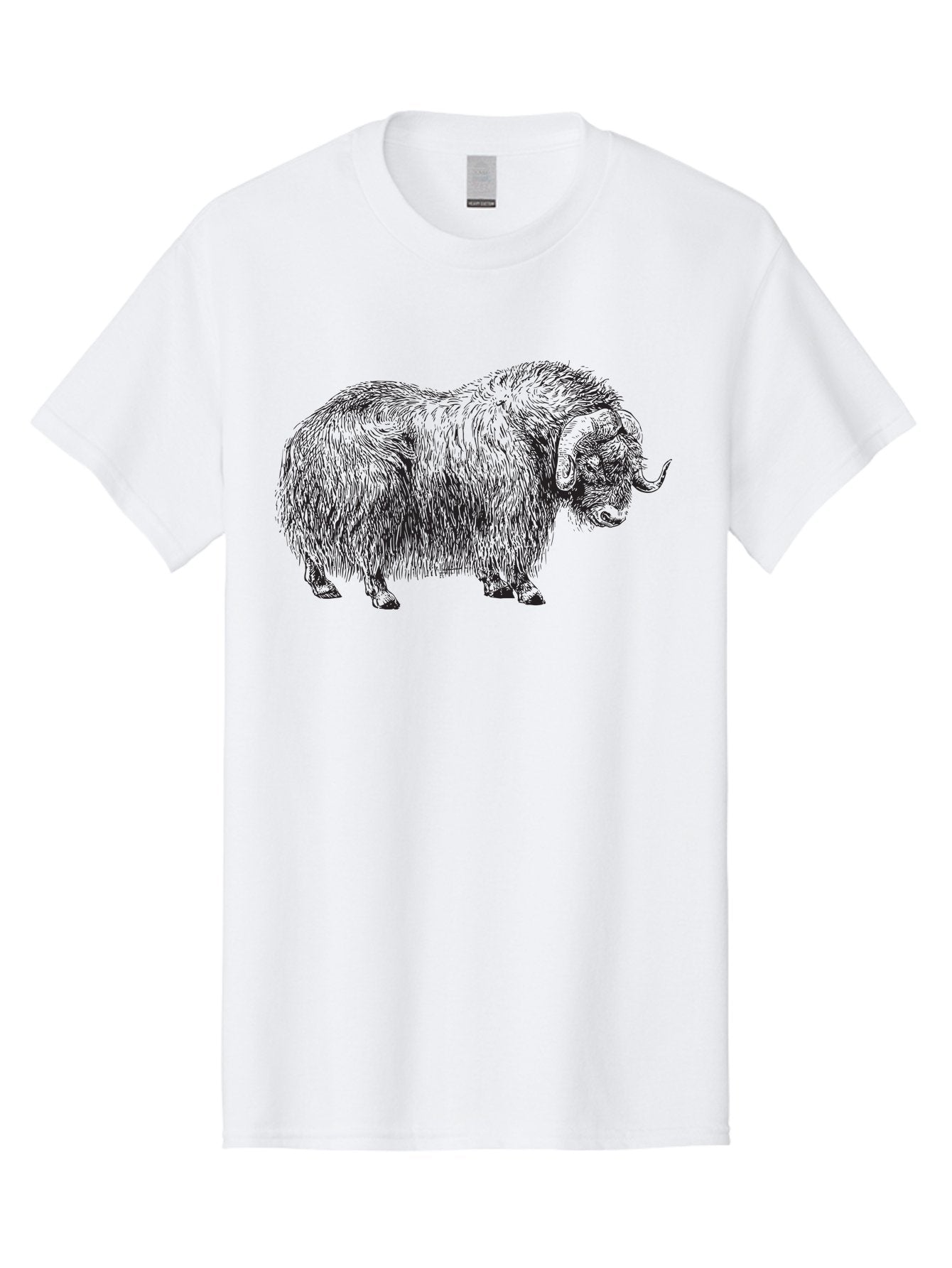 Musk-Ox Men'S Graphic Tee, 100% Cotton, Comfortable Casual Summer Wear, Machine Washable, Muskox Illustration, Detailed Line Art, Wild Animal Portrait, Shaggy Fur, Horned Creature, Arctic Wildlife, Nature Sketch Aad919 12