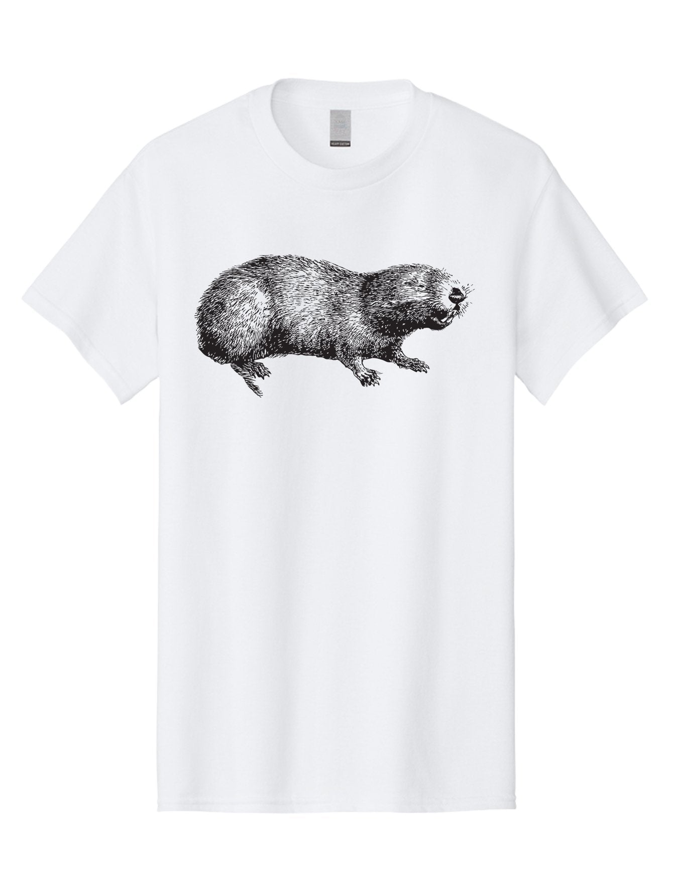 Platypus-1 Men'S Graphic Tee, 100% Cotton, Comfortable Casual Summer Wear, Machine Washable, Mole Animal, Wildlife, Underground Creature, Rodent, Illustration, Detailed Drawing, Small Mammal, Insectivorous Mammal, Furry Creature, Aad925 11
