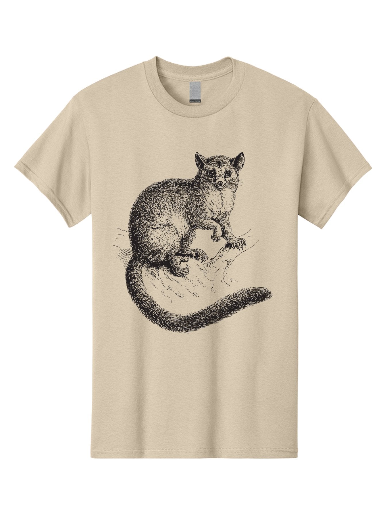 Possum Men'S Graphic Tee, 100% Cotton, Comfortable Casual Summer Wear, Machine Washable, Opossum On Log, Marsupial, Wildlife, Animal Illustration, Forest Creature, Wild Animal, Australian Fauna, Detailed Artwork Aad928 7