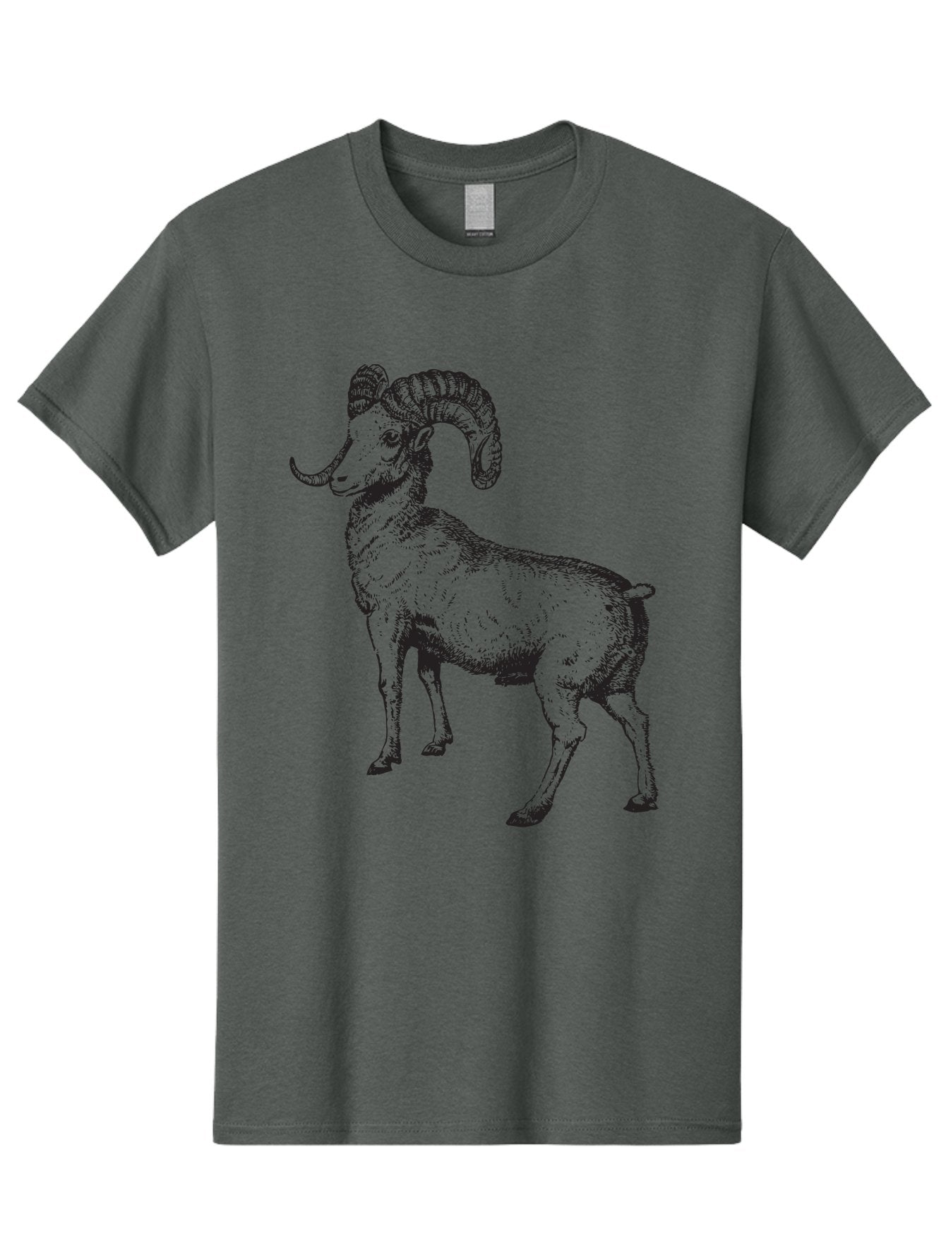 Ram Men'S Graphic Tee, 100% Cotton, Comfortable Casual Summer Wear, Machine Washable, Large Ram, Curved Horns, Wild Animal, Livestock, Farm Animal, Strong, Majestic, Nature, Wildlife, Outdoors, Rugged Aad934 8