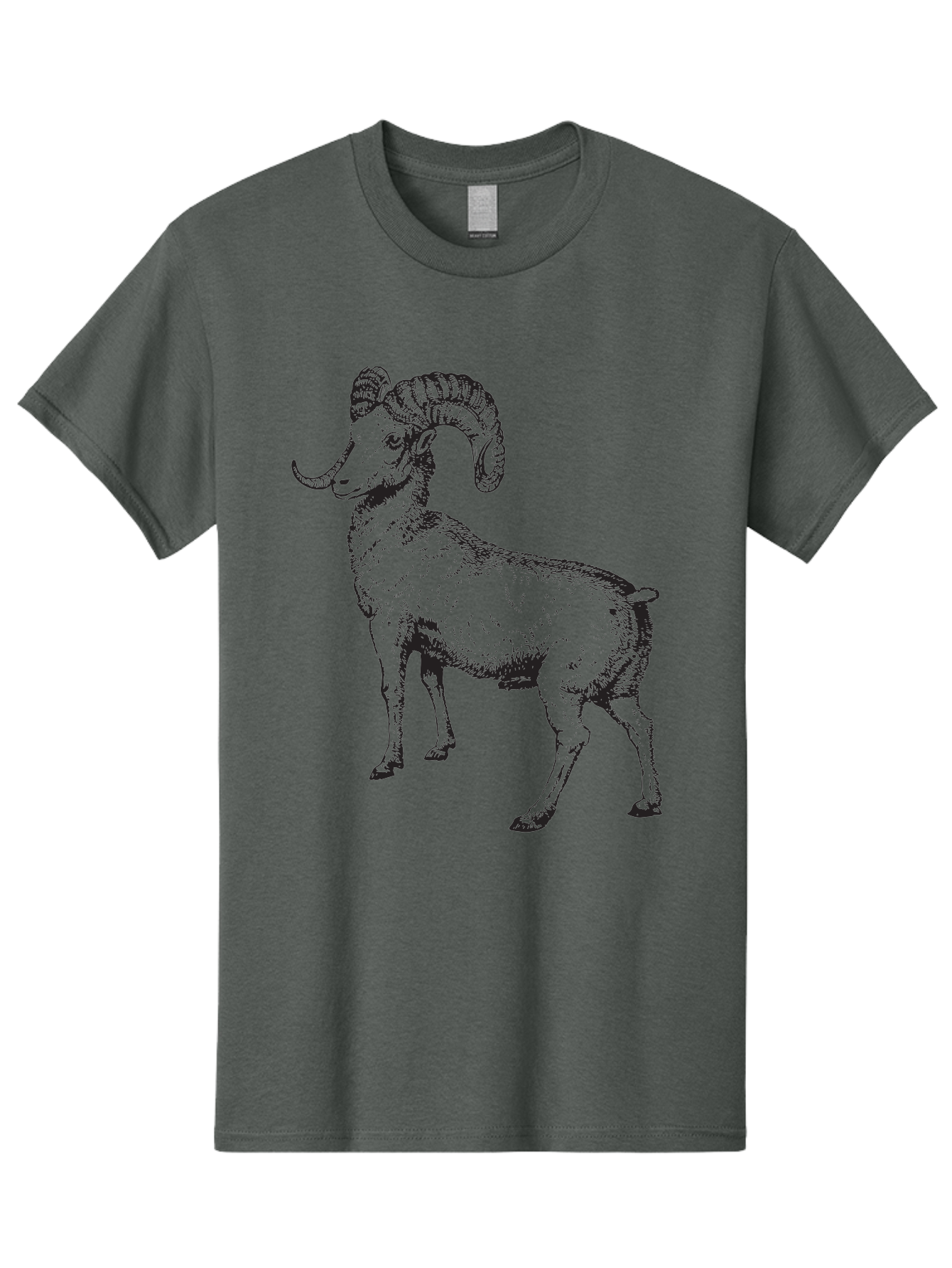 Ram Men'S Graphic Tee, 100% Cotton, Comfortable Casual Summer Wear, Machine Washable, Large Ram, Curved Horns, Wild Animal, Livestock, Farm Animal, Strong, Majestic, Nature, Wildlife, Outdoors, Rugged Aad934 11