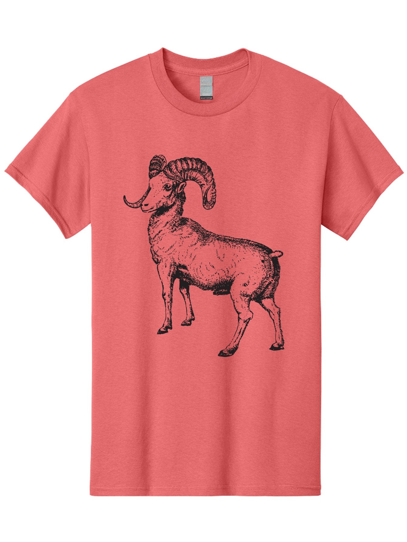 Ram Men'S Graphic Tee, 100% Cotton, Comfortable Casual Summer Wear, Machine Washable, Large Ram, Curved Horns, Wild Animal, Livestock, Farm Animal, Strong, Majestic, Nature, Wildlife, Outdoors, Rugged Aad934 13