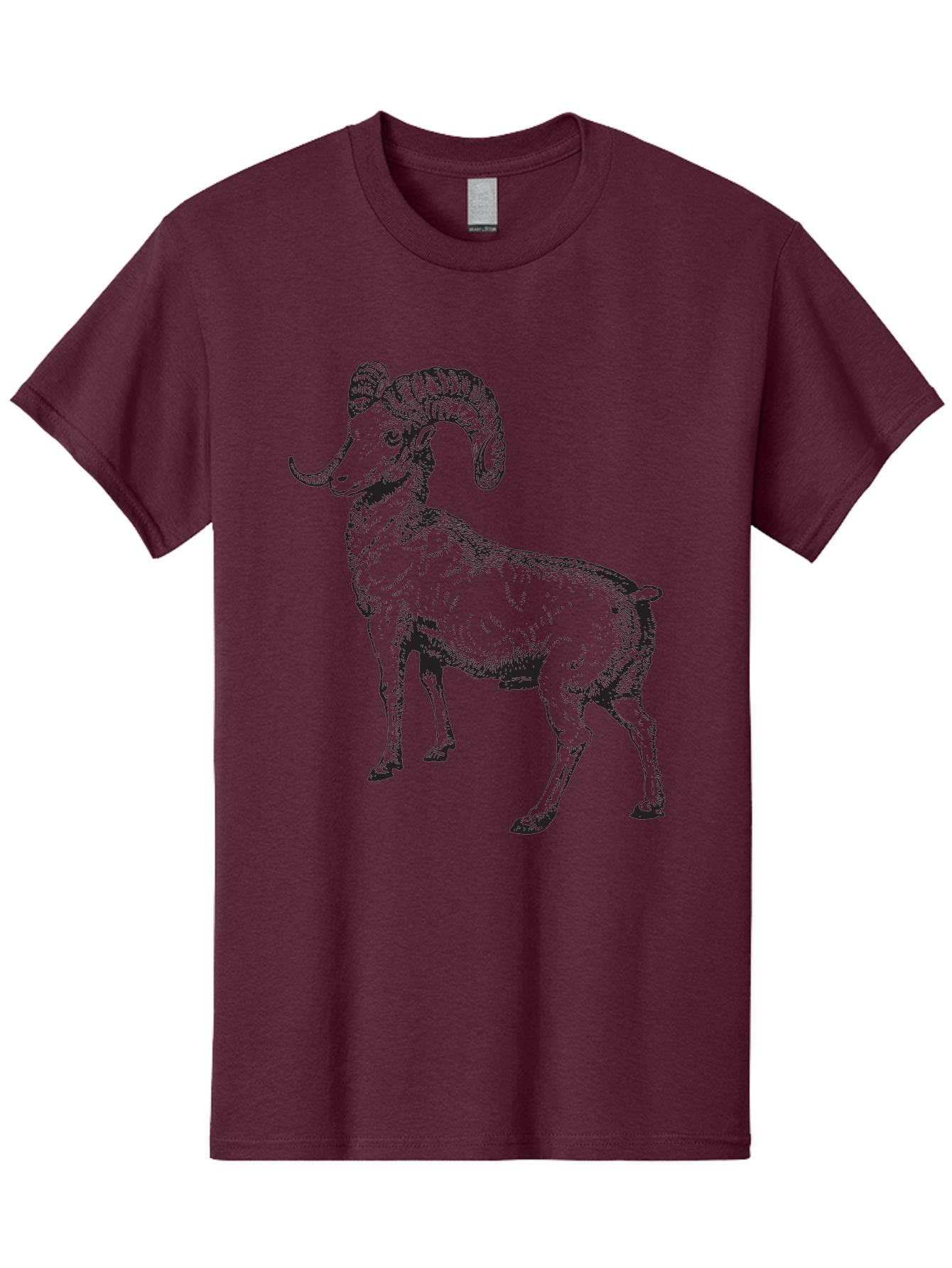 Ram Men'S Graphic Tee, 100% Cotton, Comfortable Casual Summer Wear, Machine Washable, Large Ram, Curved Horns, Wild Animal, Livestock, Farm Animal, Strong, Majestic, Nature, Wildlife, Outdoors, Rugged Aad934 25